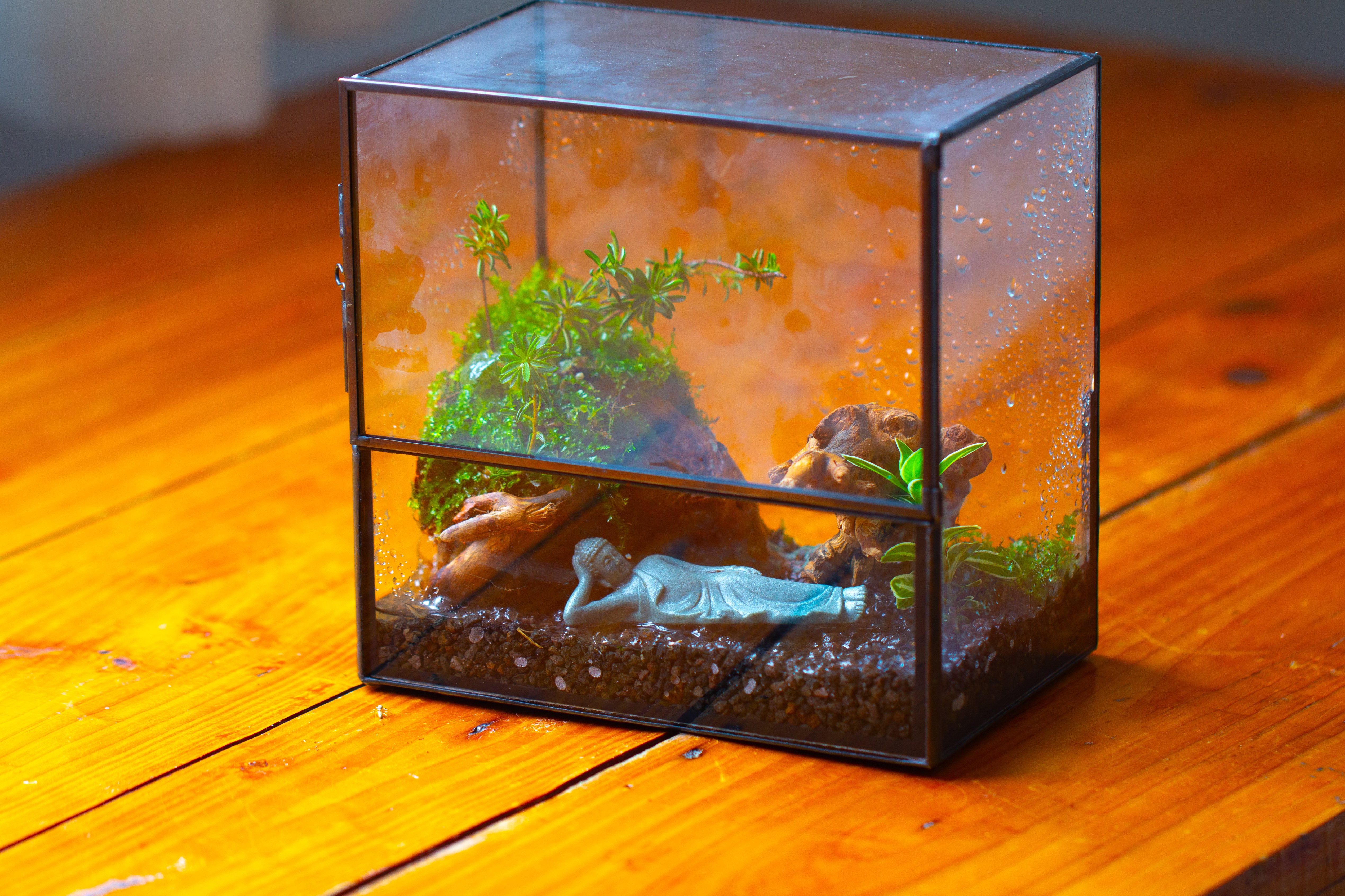 Handmade 7x7 Inches Watertight Glass Terrarium with Door, for moss - NCYPgarden