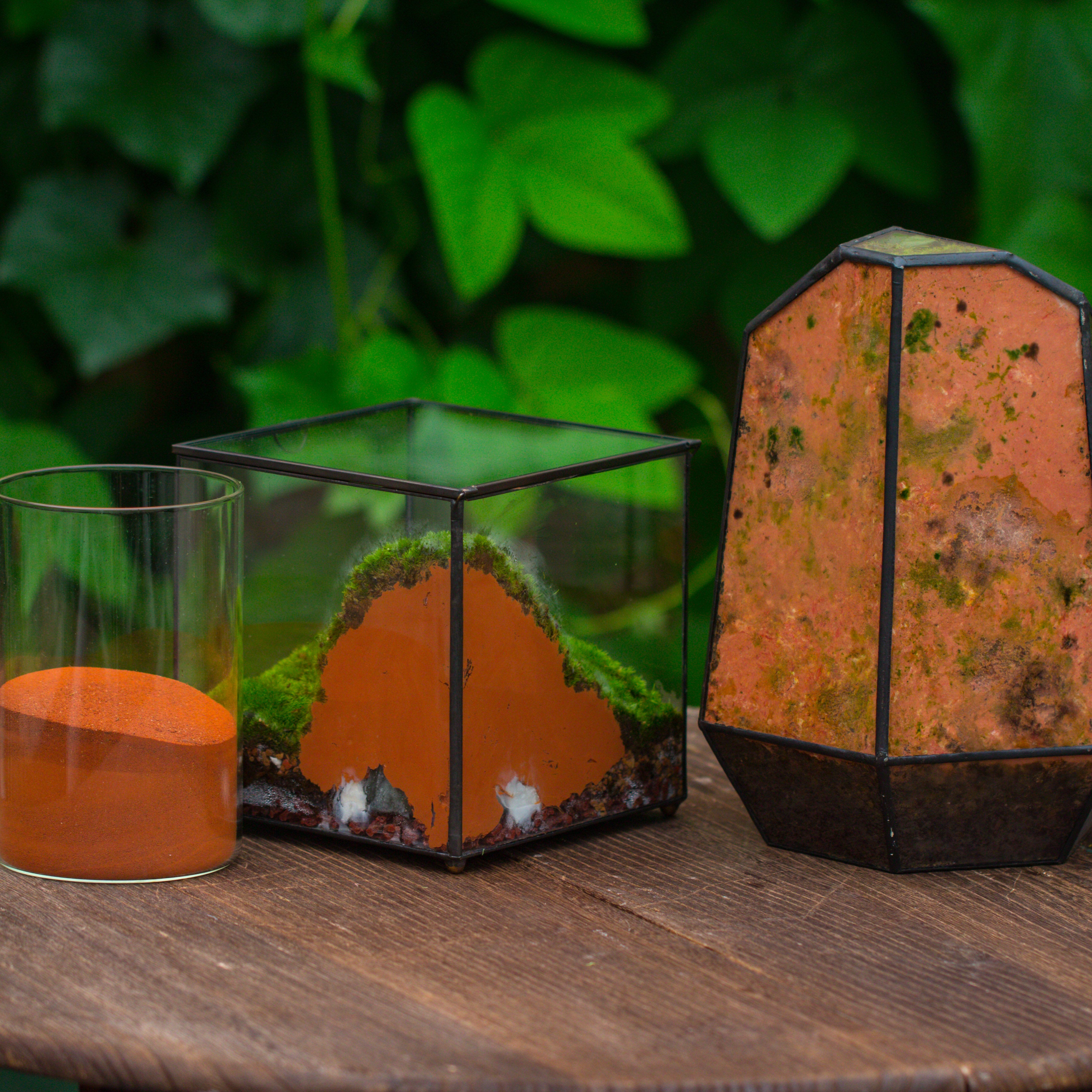 Rain Forest Sticky Red Clay Soil for DIY Moss Wall, Plant Moss / plants on the Wall, vertical landscape, vivarium, Terrarium - NCYPgarden