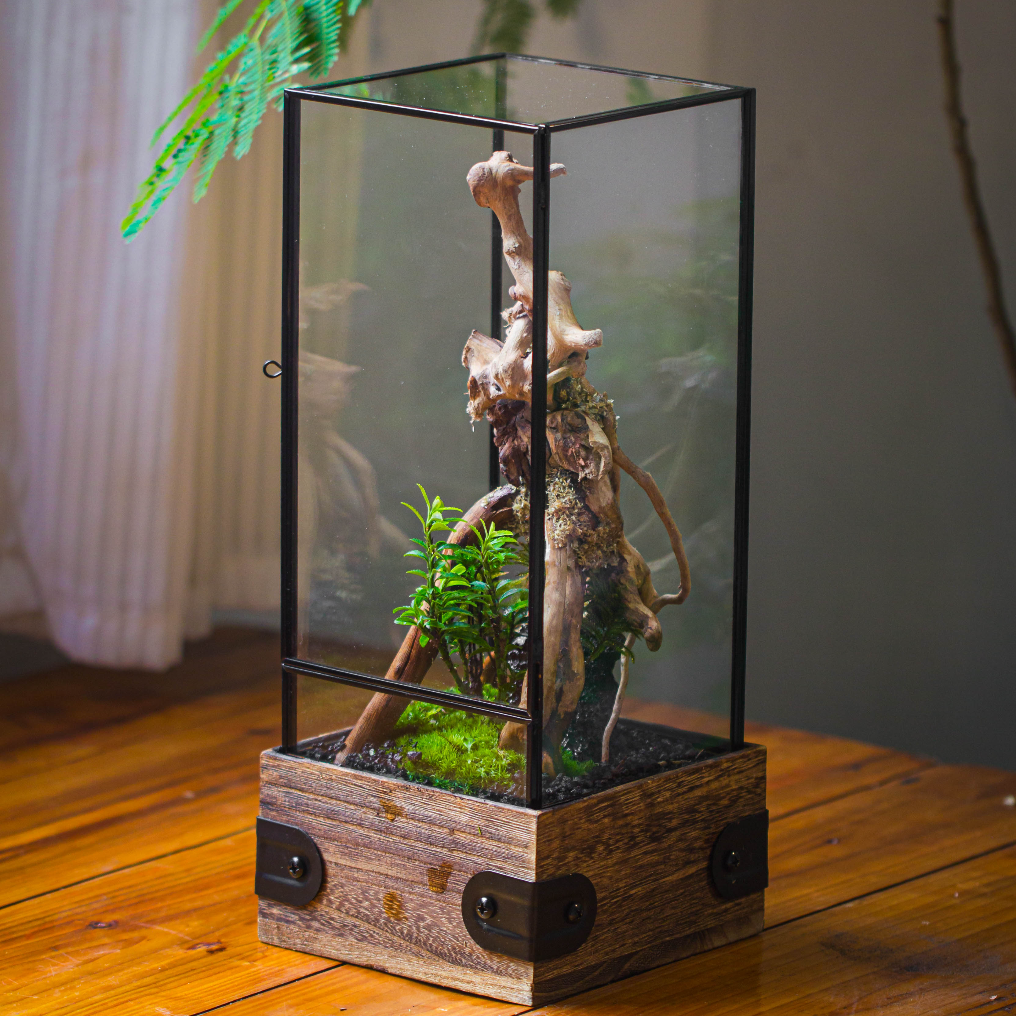 Handmade Glass Terrarium with Wood Base, Rectangular Planter with Door, with LED Acrylic Lamp Base for Plants, Moss Landscapes, Plant Lover Gift - NCYPgarden