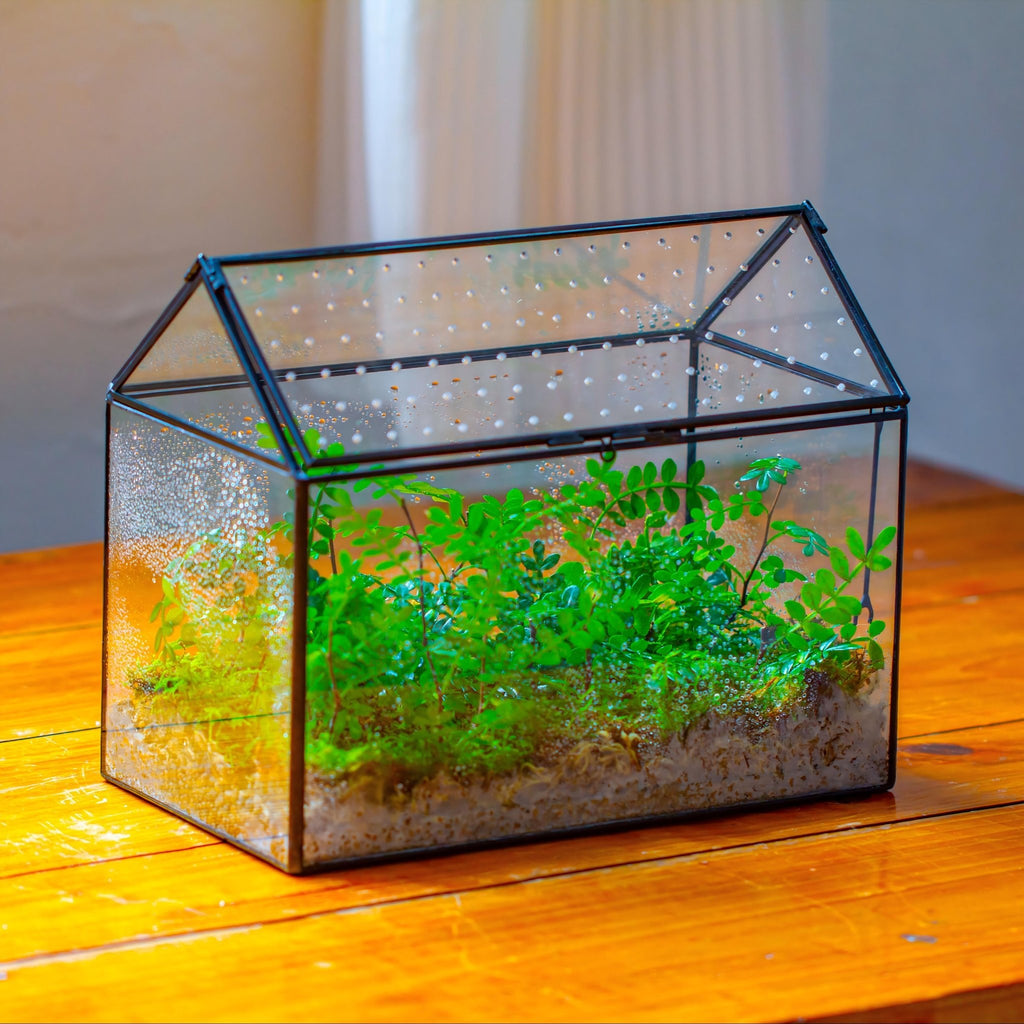 Handmade Close House-shaped Glass Terrarium Enclosure, with