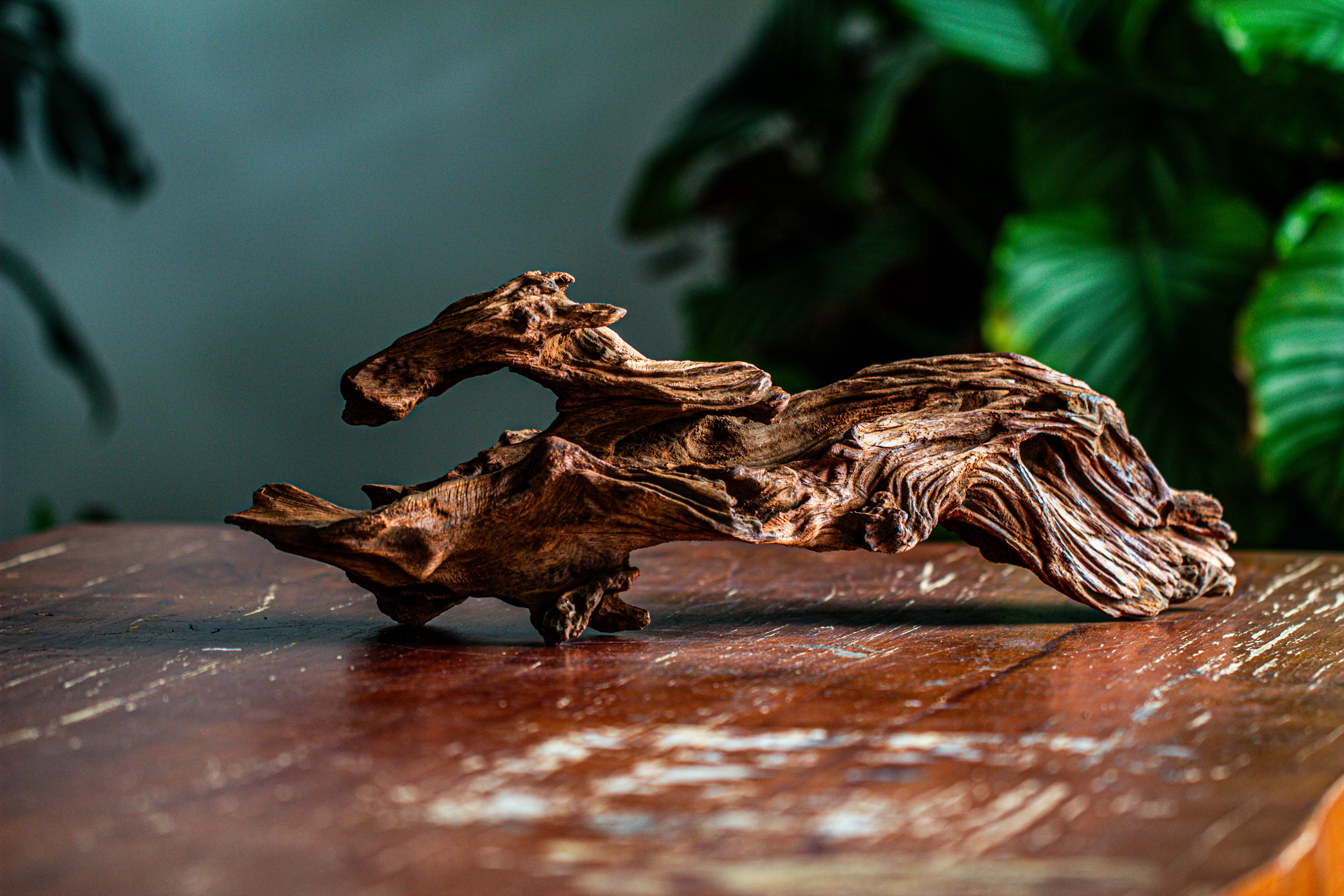 Natural driftwood for moss terrarium, miniature, micro landscape, unique  12-64, suitable for both live and preserved moss - NCYPgarden