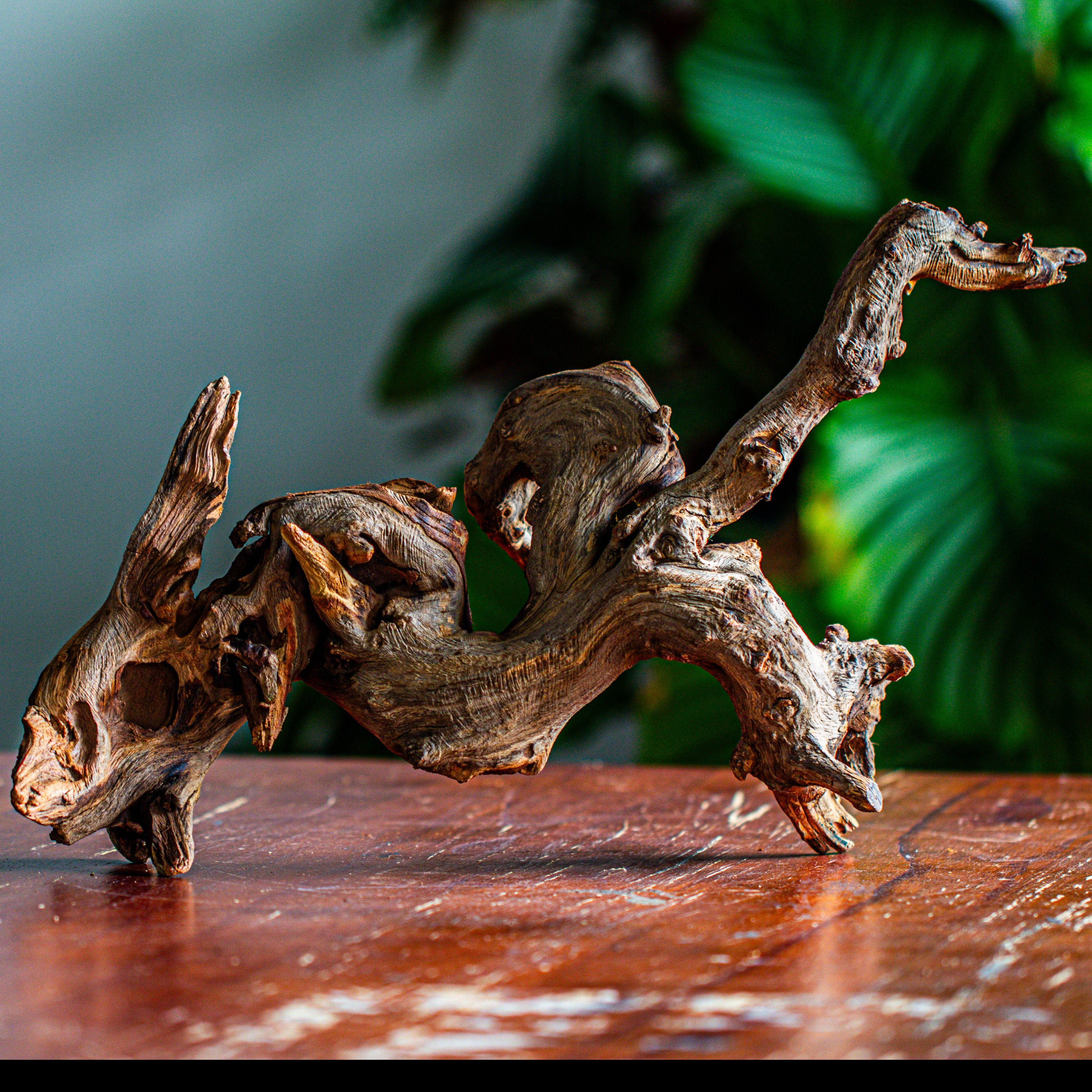 Natural driftwood for moss terrarium, miniature, micro landscape, unique  12-64, suitable for both live and preserved moss - NCYPgarden