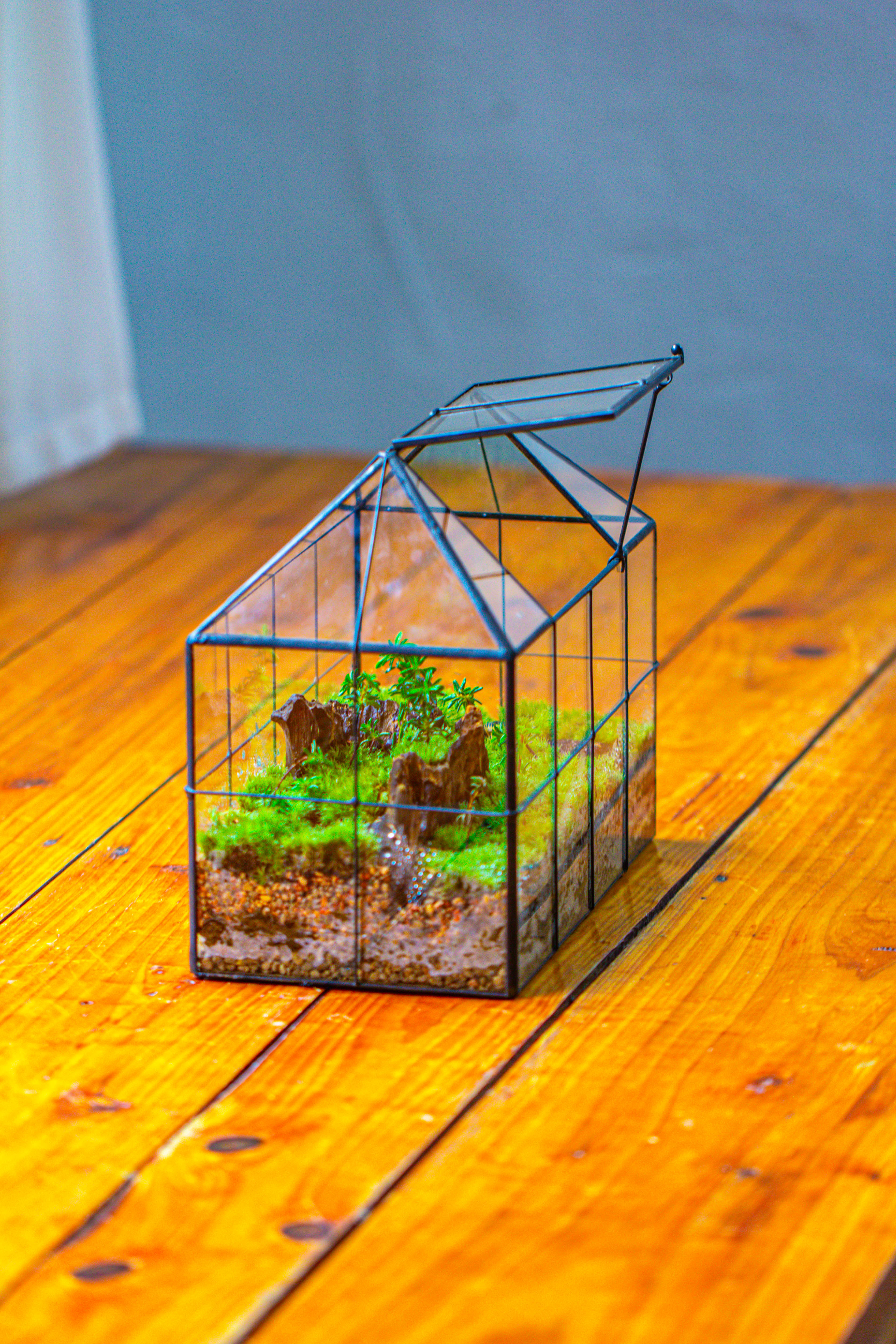 NCYP Glass Geometric Terrarium Tin-Sealed Brass Black House Shape Container with Grid and Swing Lid - NCYPgarden
