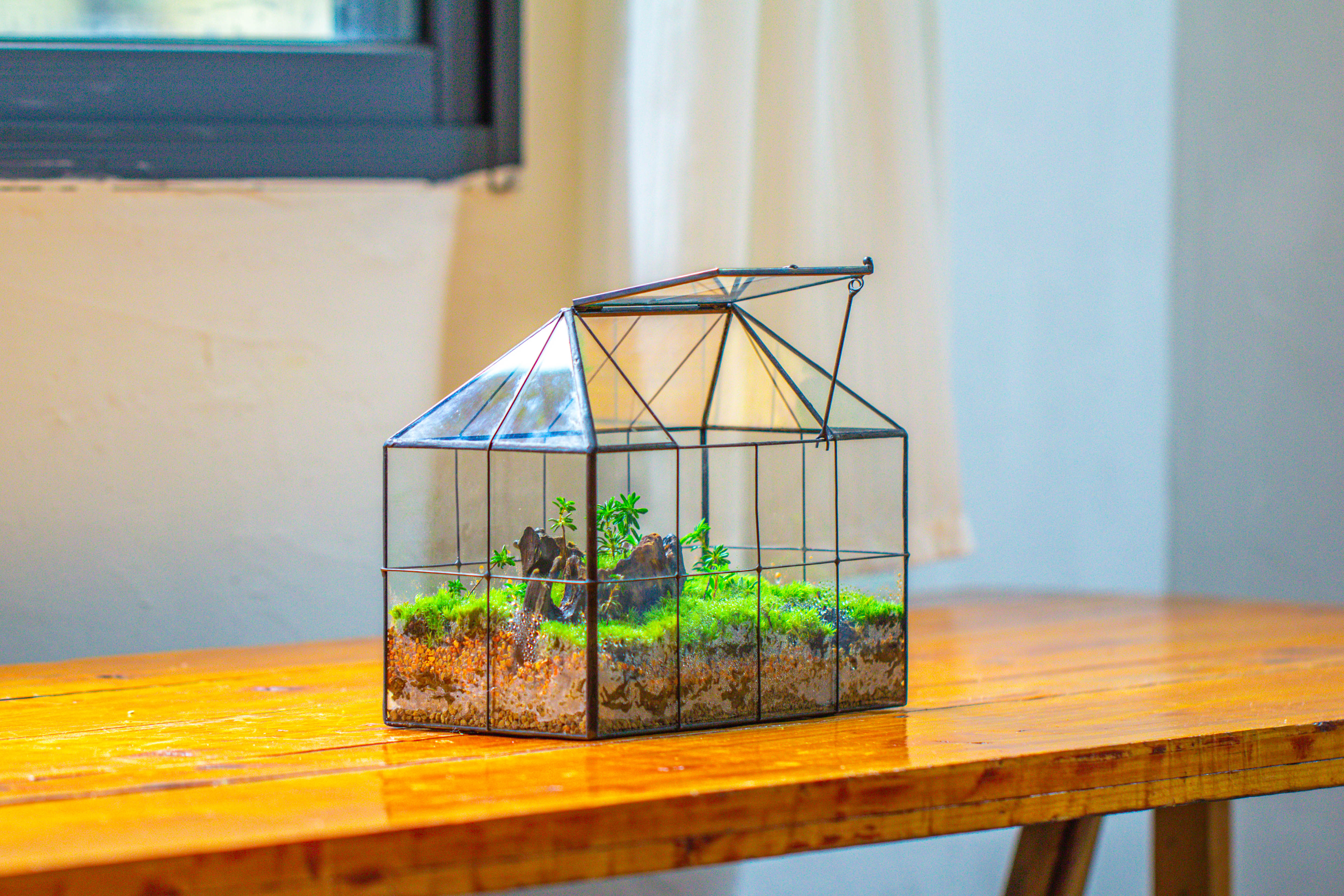 NCYP Glass Geometric Terrarium Tin-Sealed Brass Black House Shape Container with Grid and Swing Lid - NCYPgarden