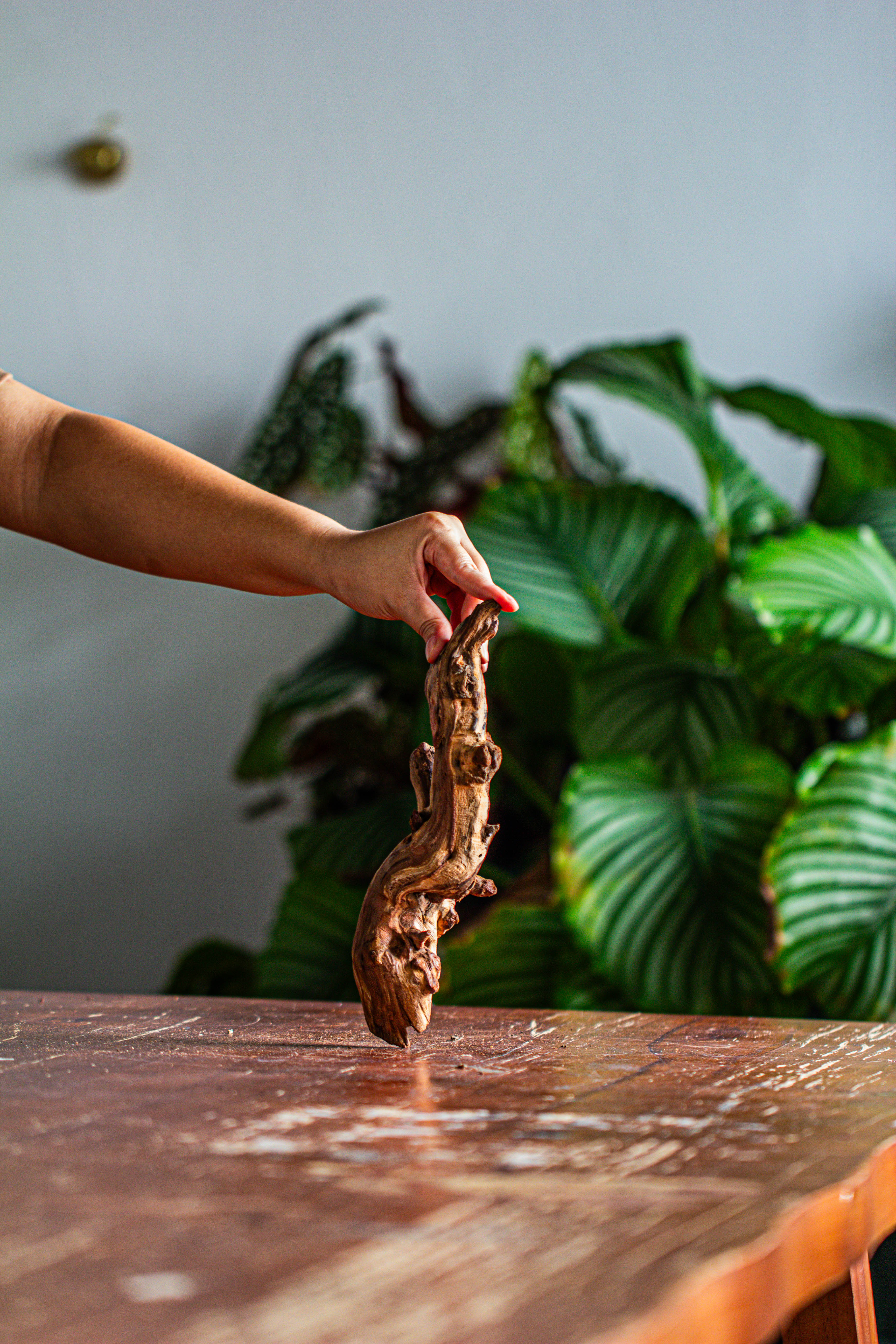 Natural driftwood for moss terrarium, miniature, micro landscape, unique  12-57, suitable for both live and preserved moss - NCYPgarden