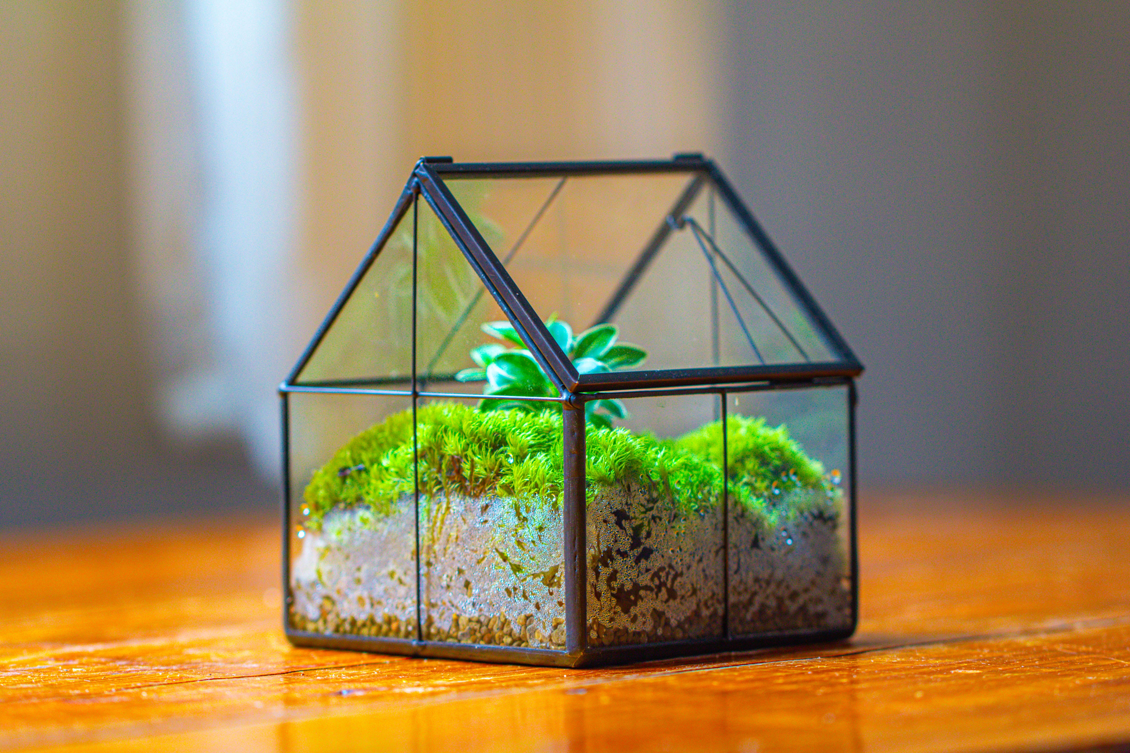 Handmade glass and tin close mini house shape close terrarium for moss, succulents, Drosera - NCYPgarden