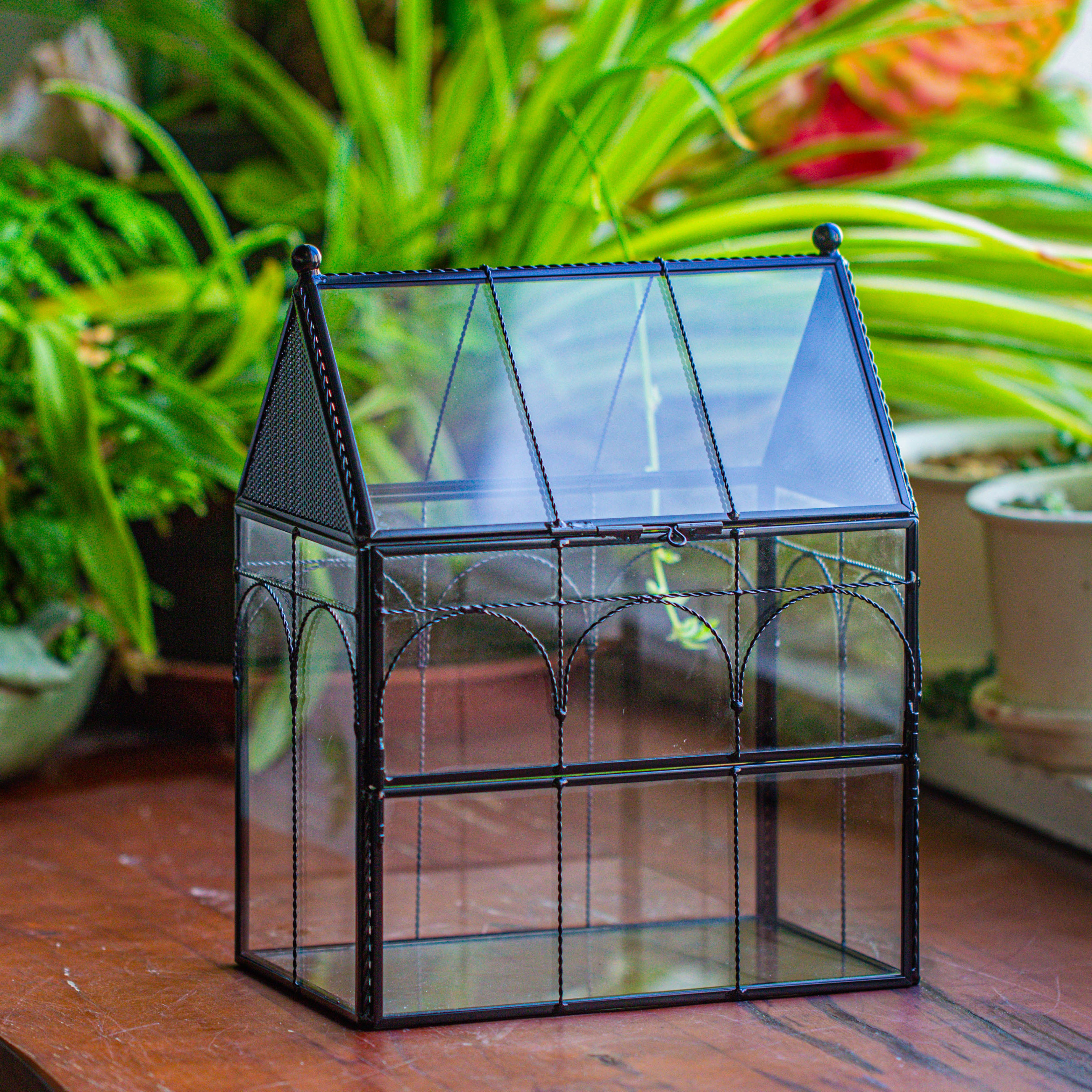 NCYP Vintage House Shape Stainless Steel and Glass Geometric Terrarium, with side door, with Mesh / vent holes for small Insects Pet - NCYPgarden
