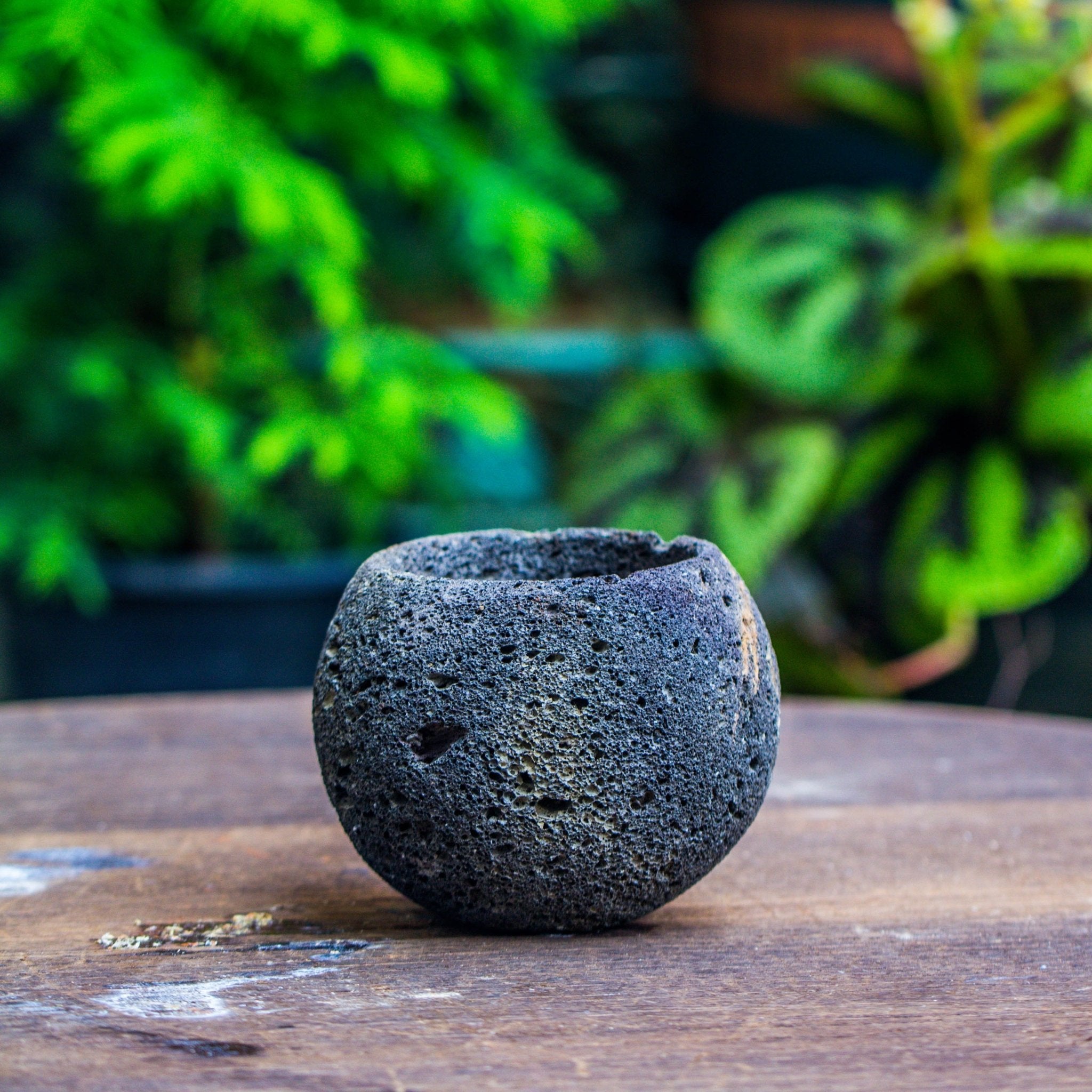 rock planters for succulents 3 units 8cm / 3.1" Round Black Horticultural Lava Rock Volcanic Rock Planter for succulents, moss, tropical palants, terrariums