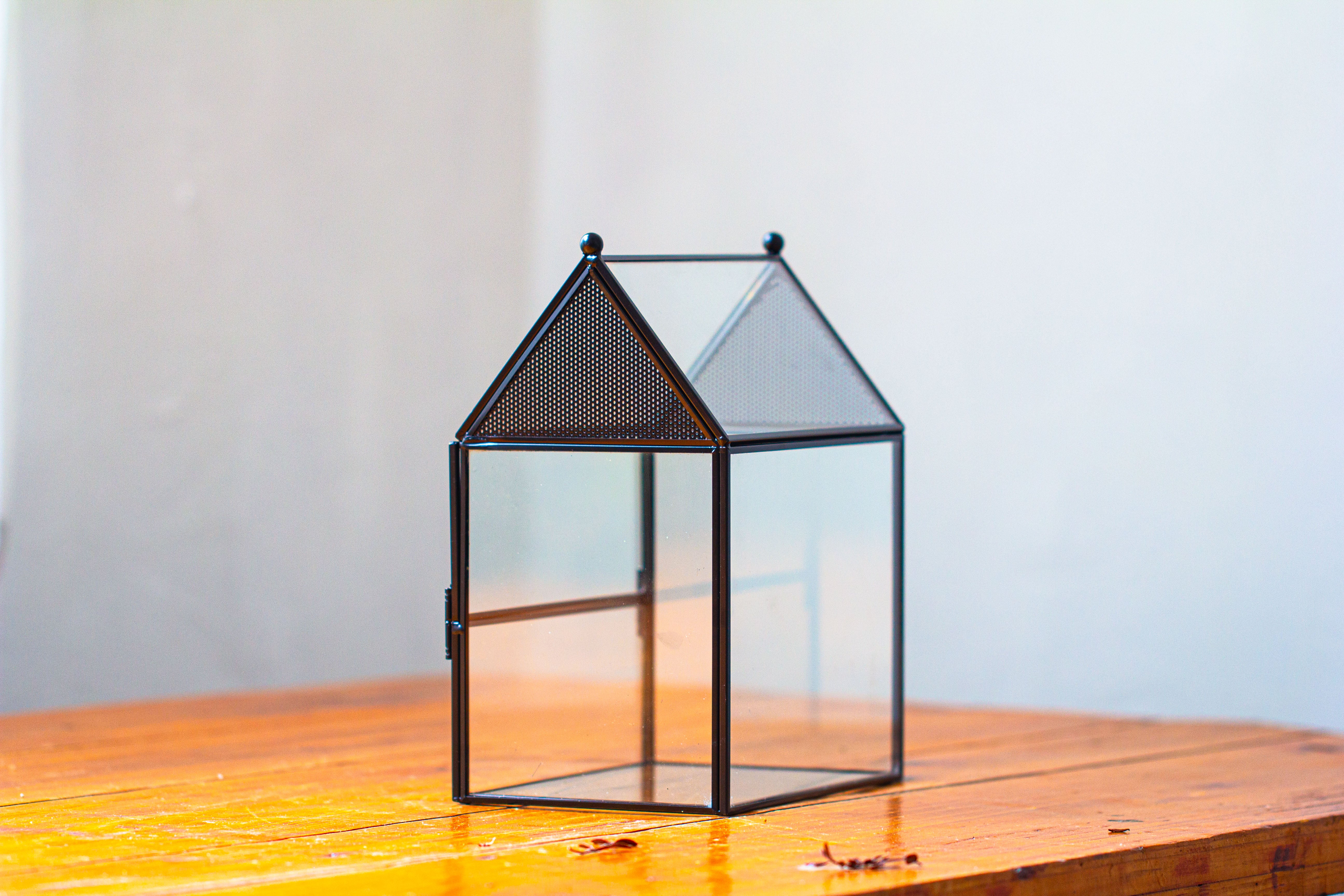 Simplified Mini House Shape Glass Geometric Terrarium for Jumping spider - NCYPgarden