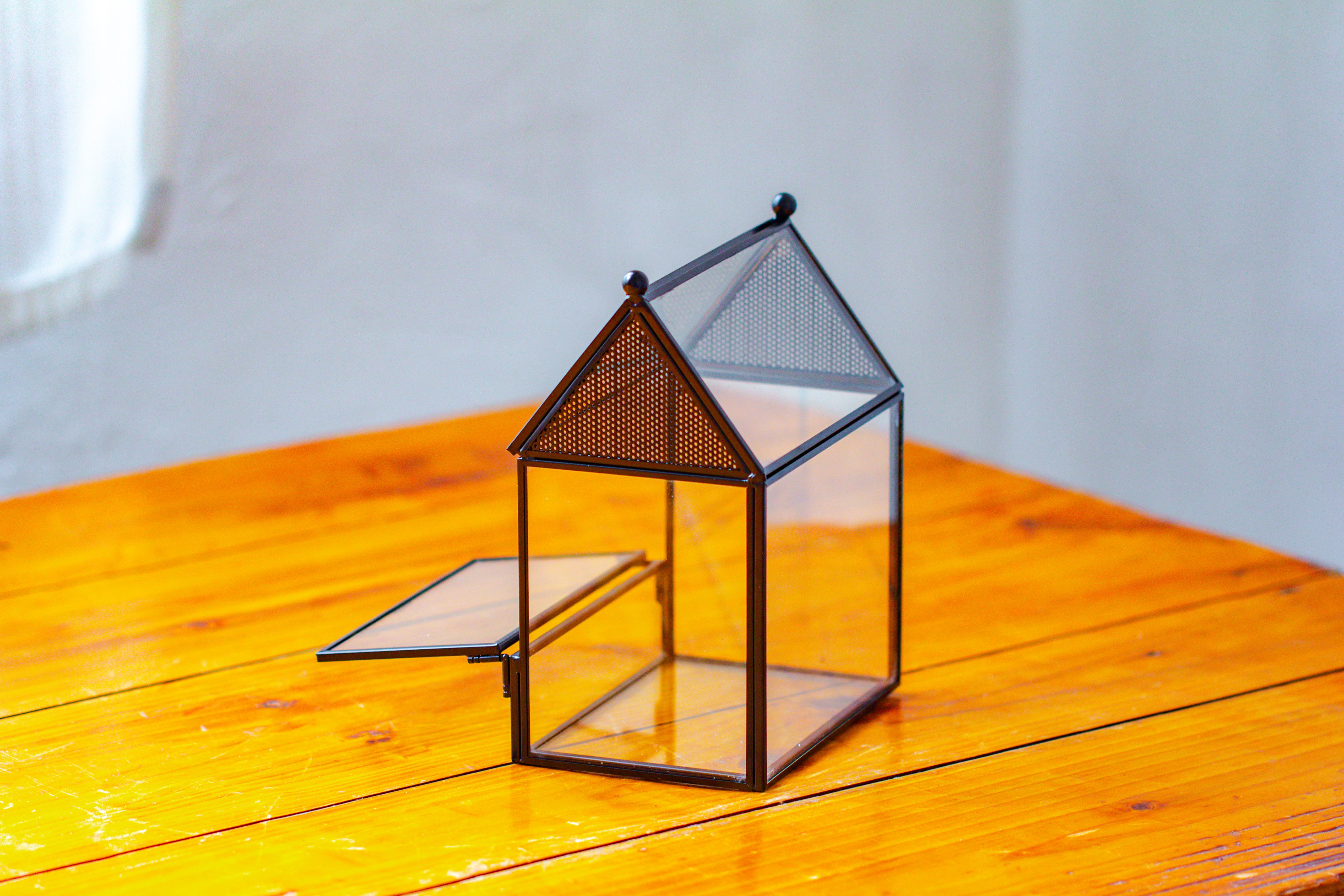Simplified Mini House Shape Glass Geometric Terrarium for Jumping spider - NCYPgarden