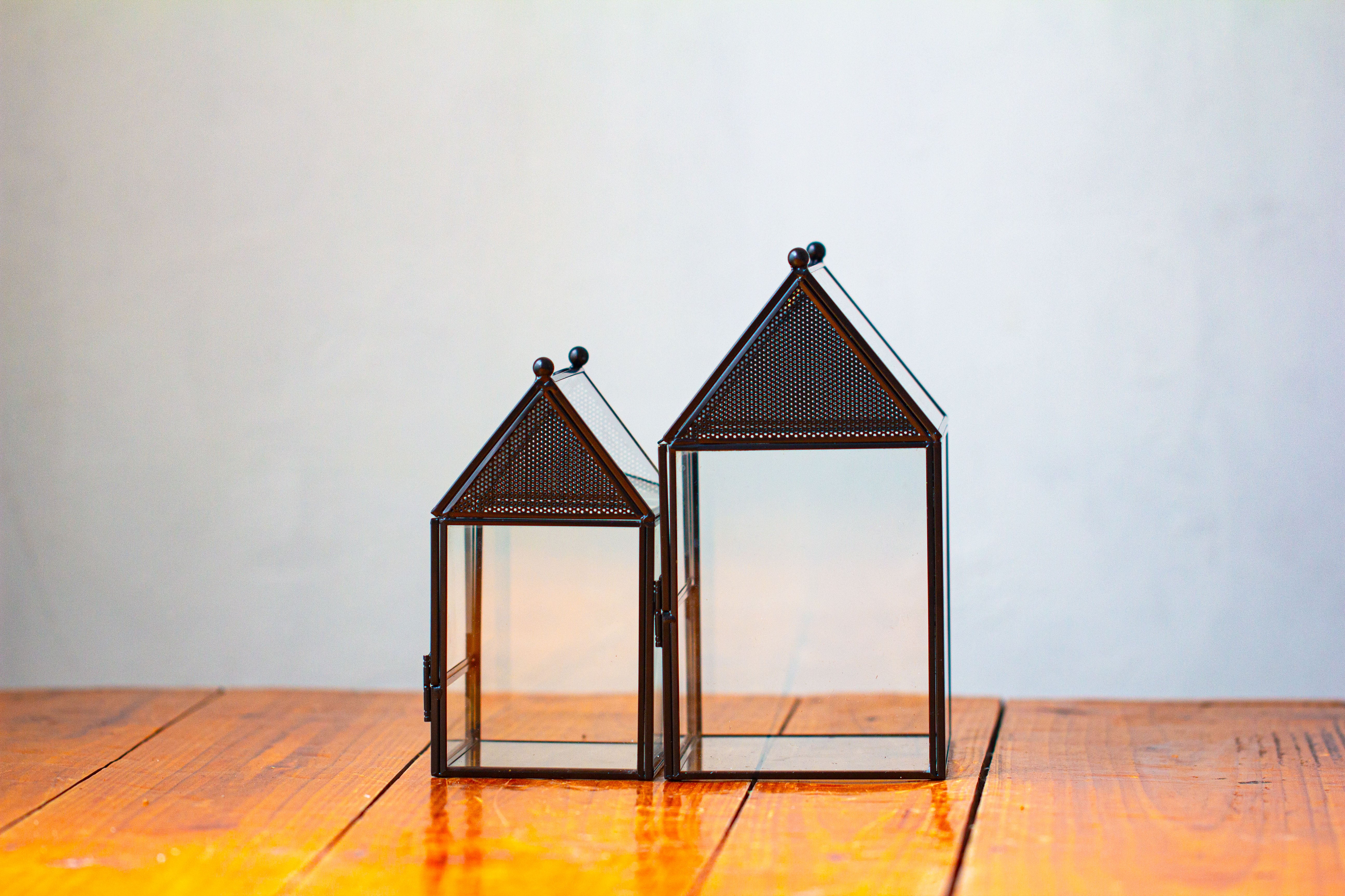 Simplified Mini House Shape Glass Geometric Terrarium for Jumping spider - NCYPgarden