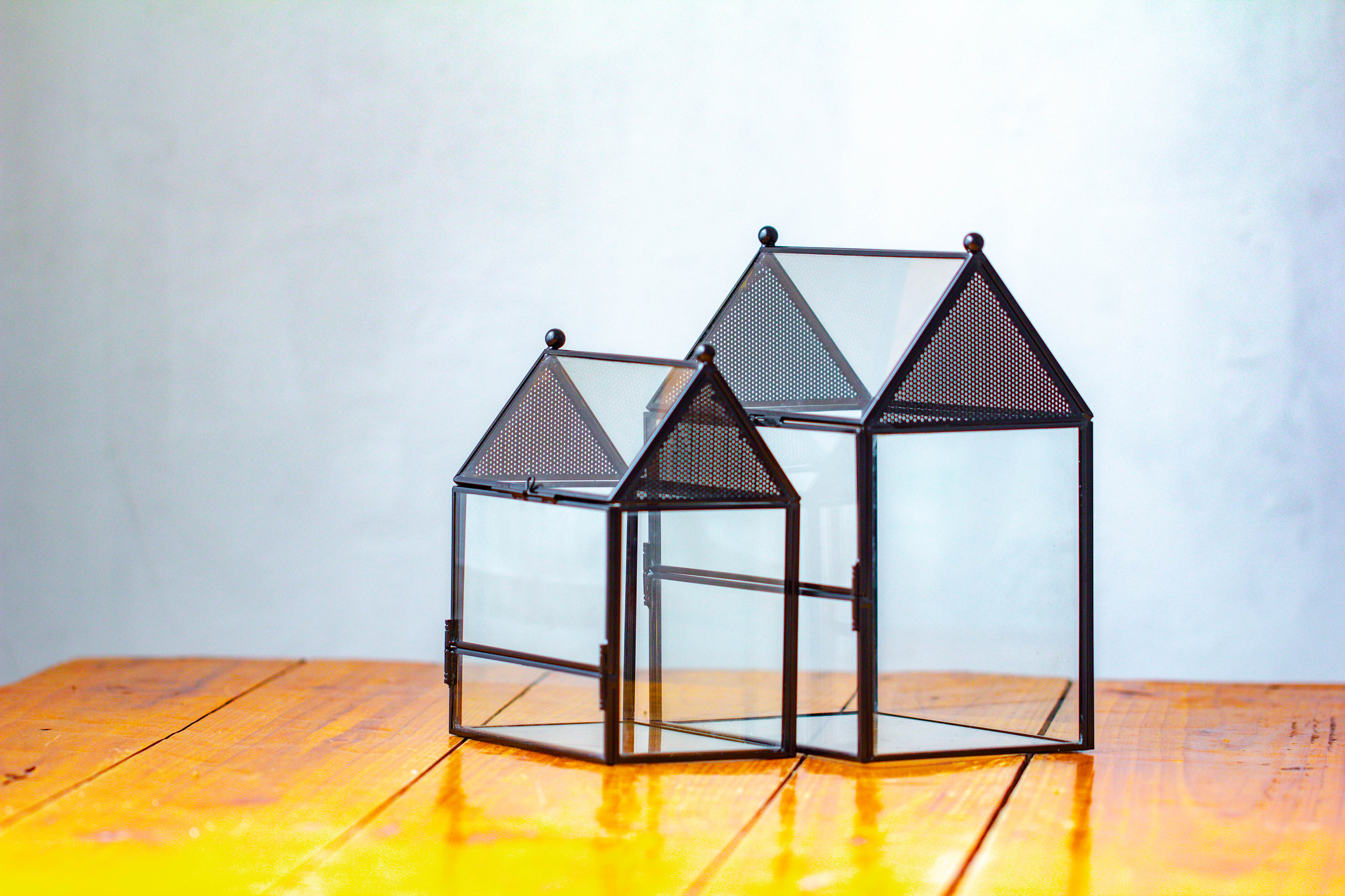 Simplified Mini House Shape Glass Geometric Terrarium for Jumping spider - NCYPgarden