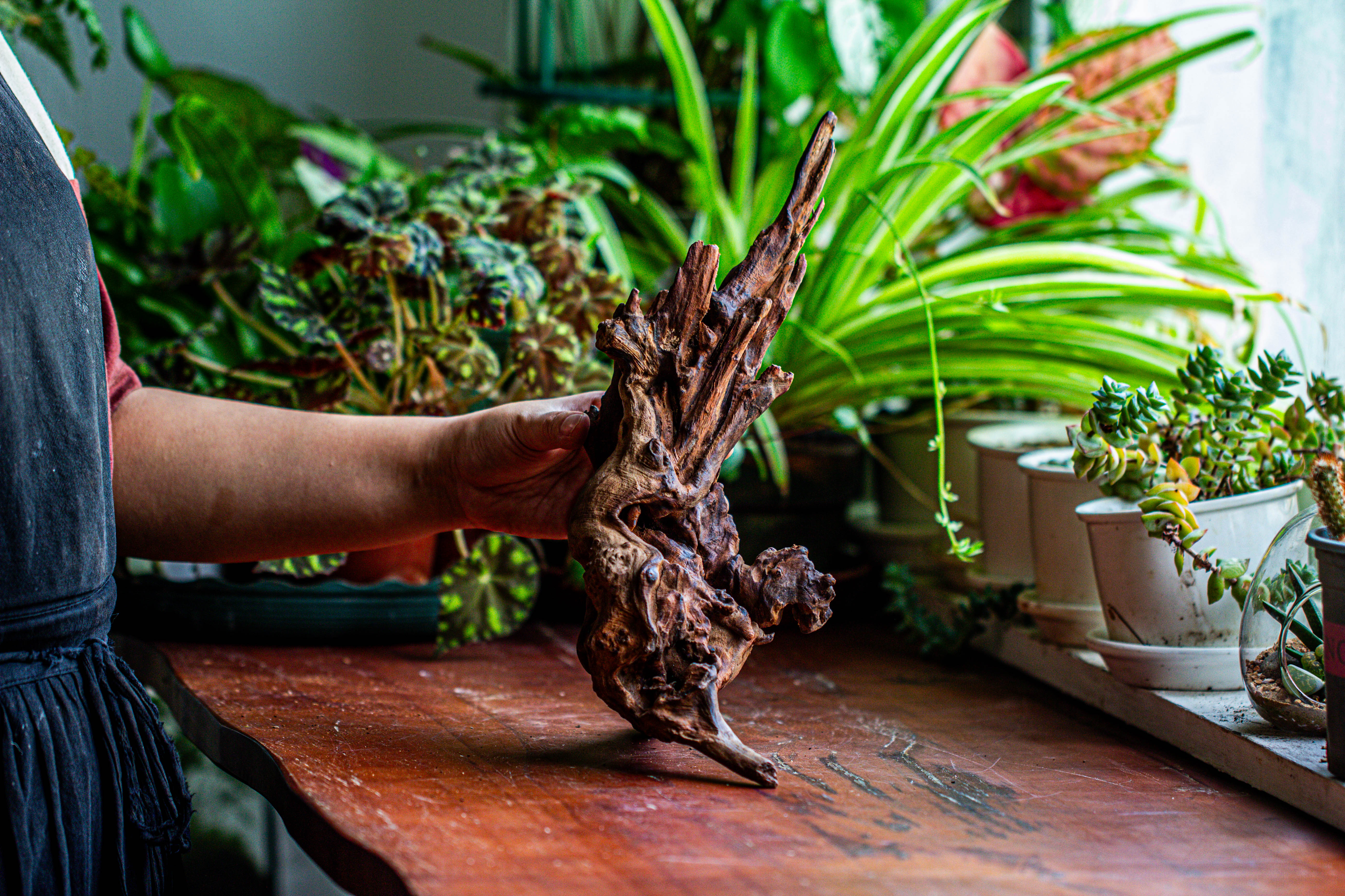 Natural driftwood for moss terrarium, miniature, micro landscape, unique  12-27, suitable for both live and preserved moss - NCYPgarden