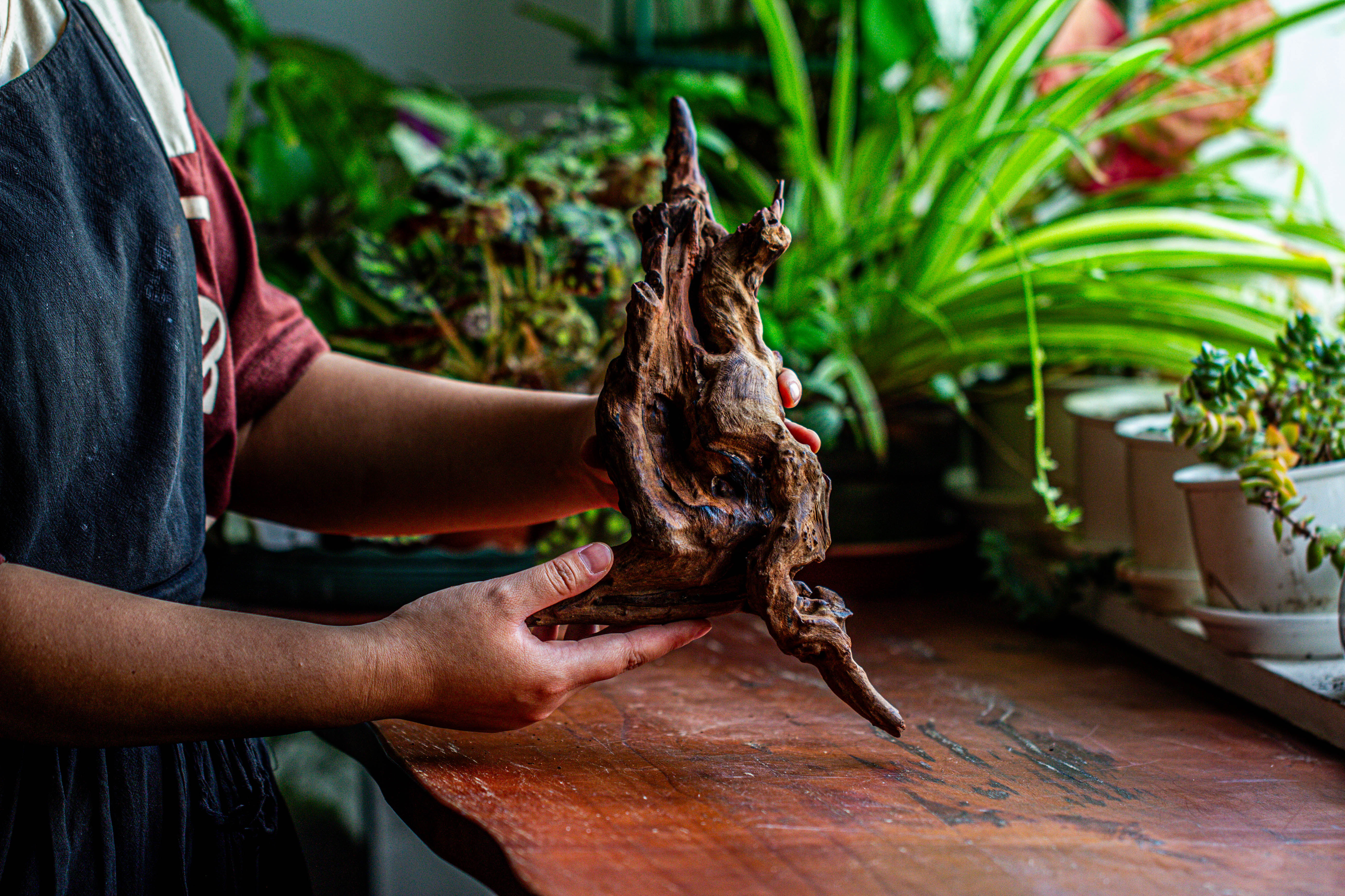 Natural driftwood for moss terrarium, miniature, micro landscape, unique  12-27, suitable for both live and preserved moss - NCYPgarden