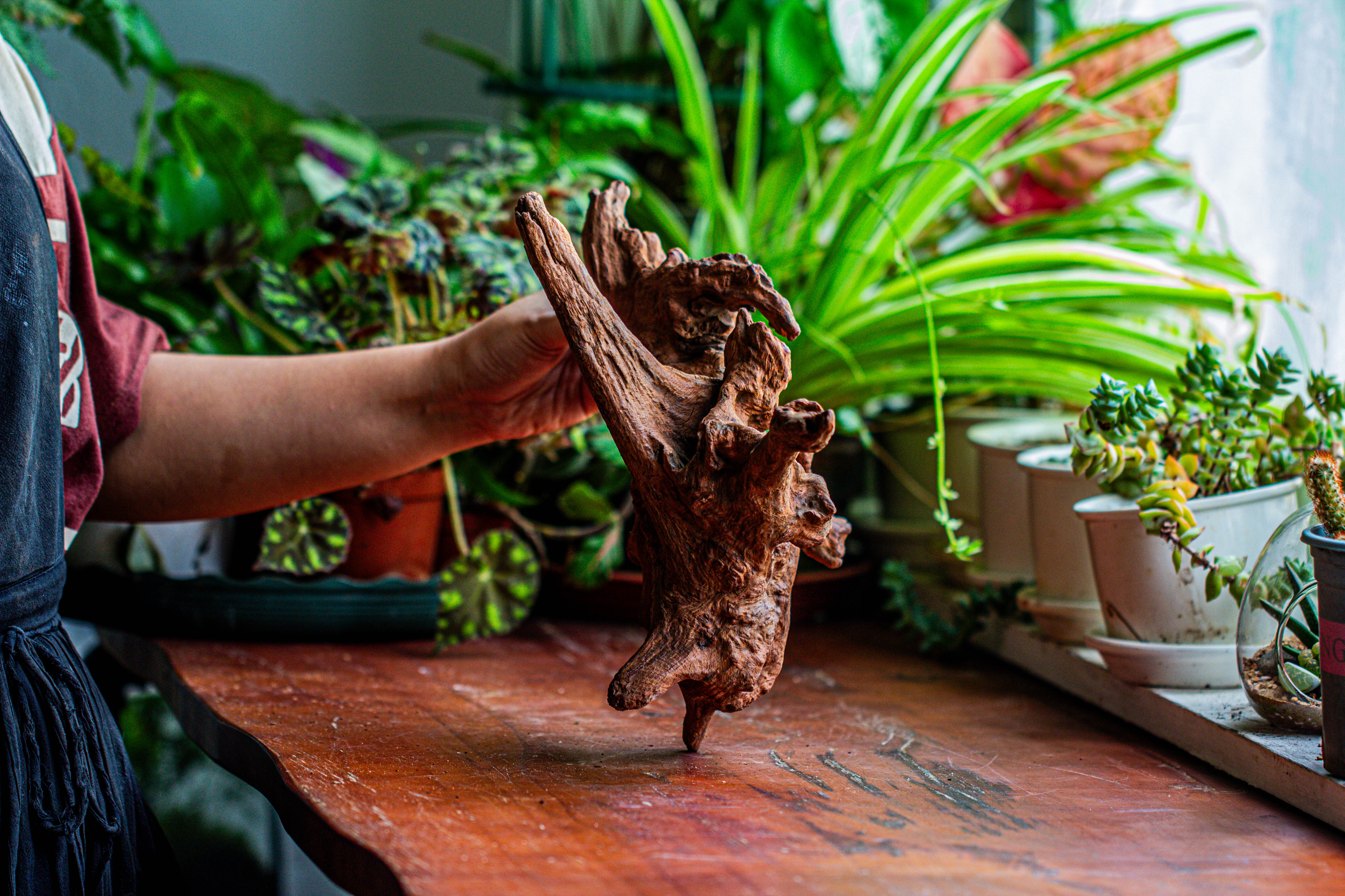 Natural driftwood for moss terrarium, miniature, micro landscape, unique  12-21, suitable for both live and preserved moss - NCYPgarden