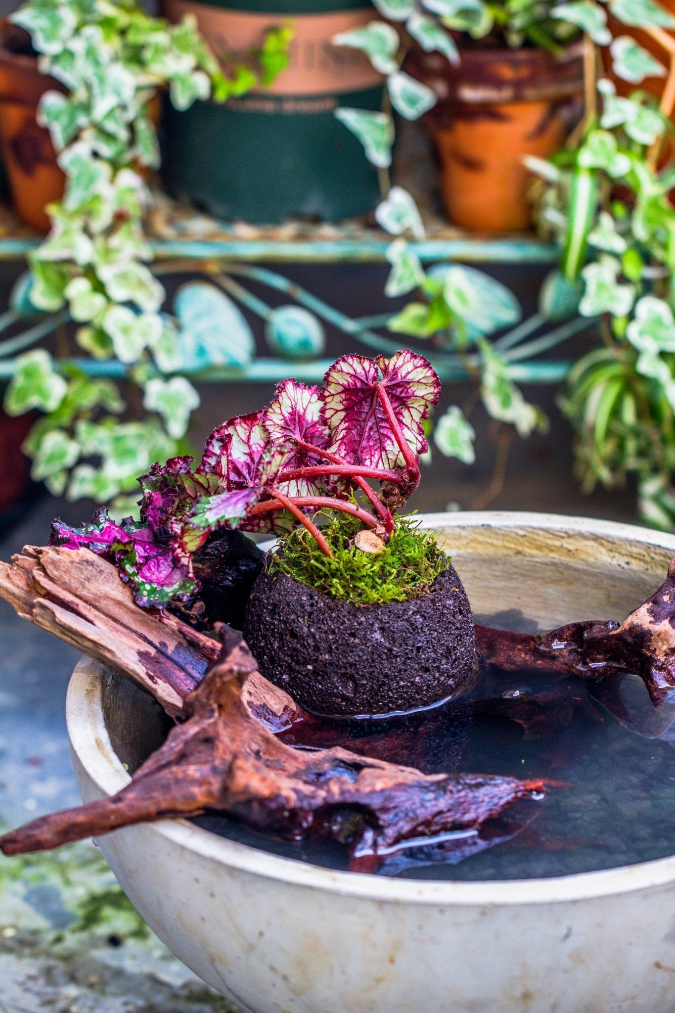 rock plant pot 3 units 10cm / 3.7" Round Red Horticultural Lava Rock Volcanic Rock Planter for succulents, moss, tropical palants, terrariums