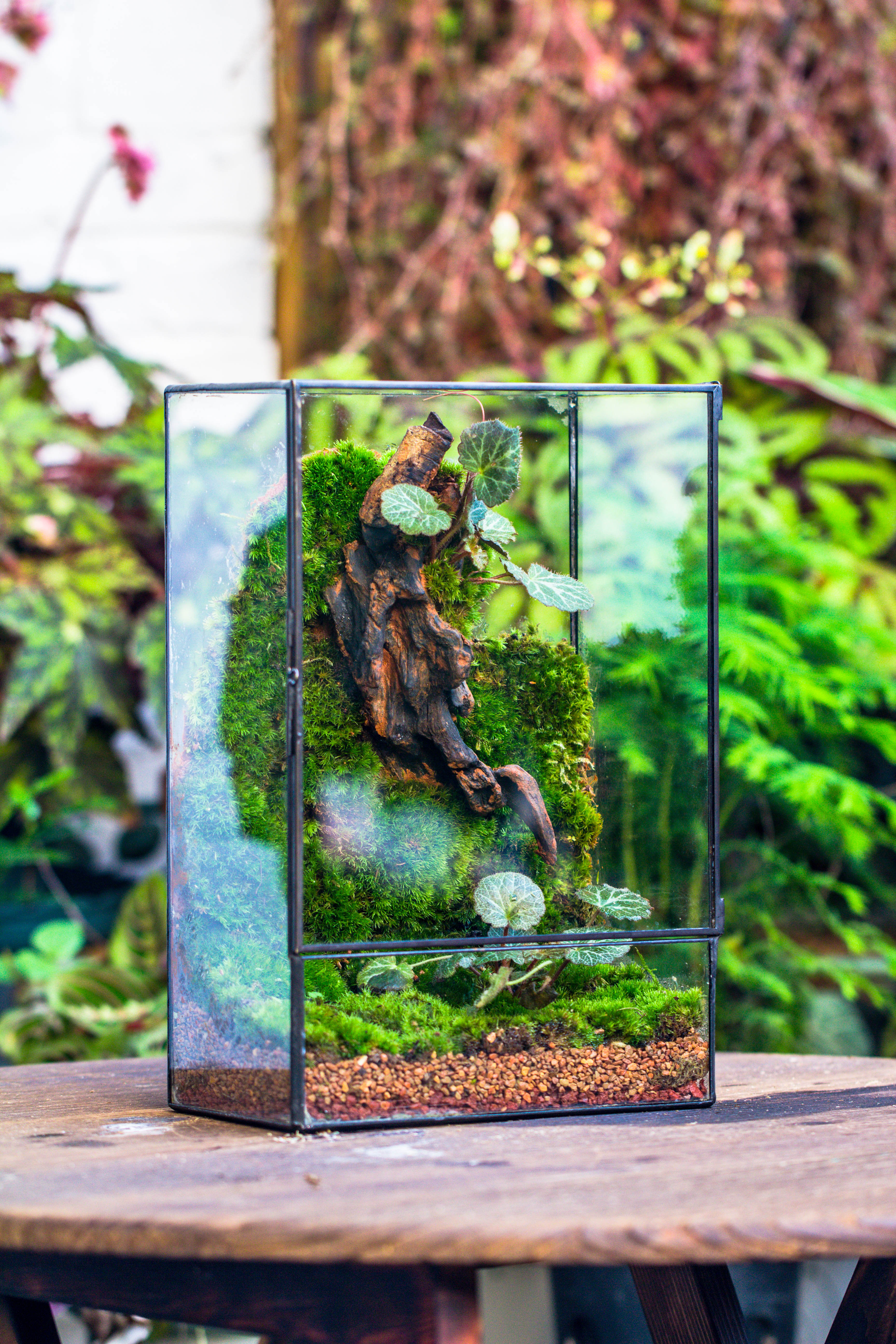 Red Horticultural Lava Rock Volcanic Rock Soil for Cacti Succulents Potted Plants Bonsai - NCYPgarden