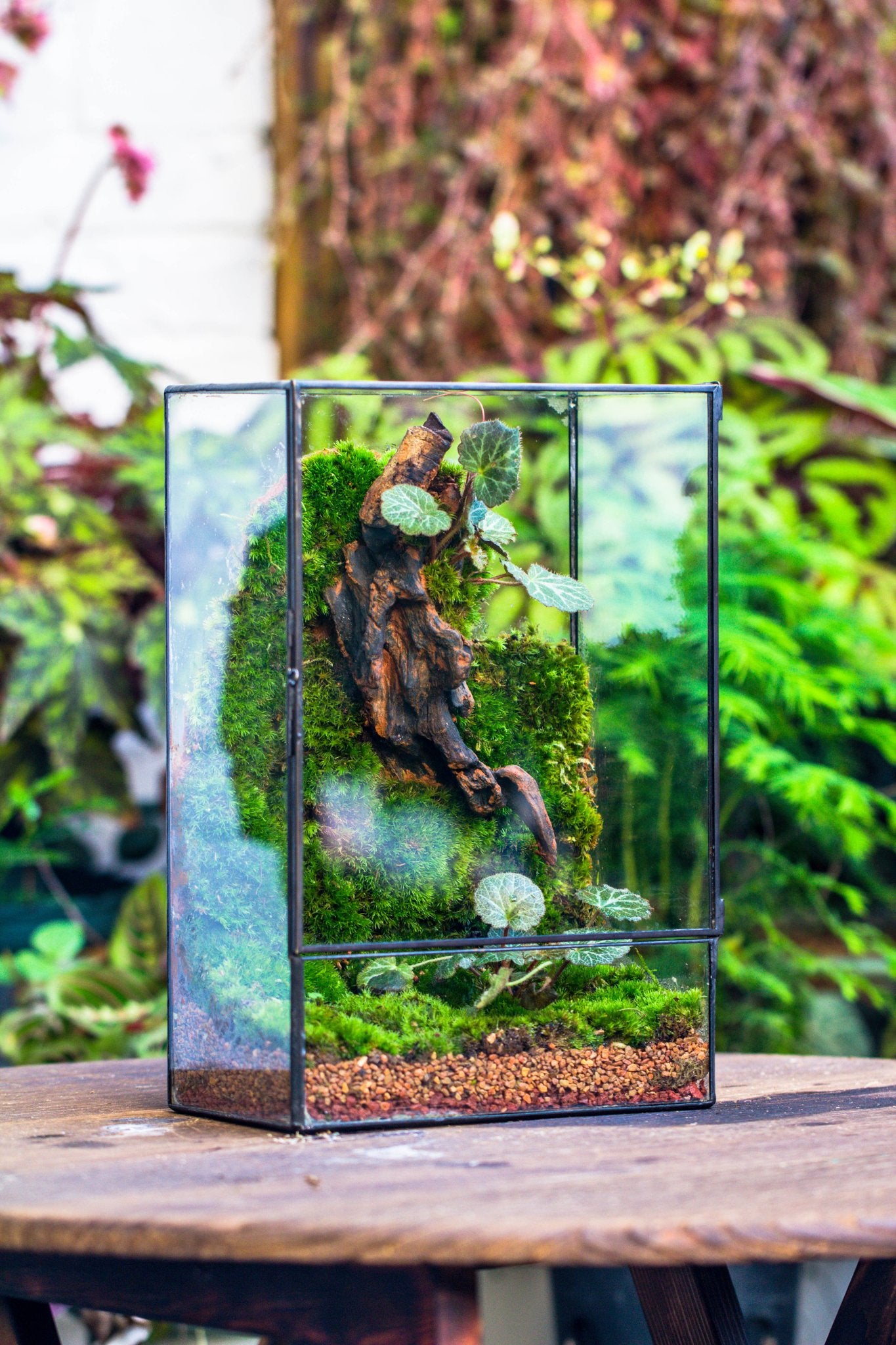 lava rocks for succulents Red Horticultural Lava Rock Volcanic Rock Soil for Cacti Succulents Potted Plants Bonsai