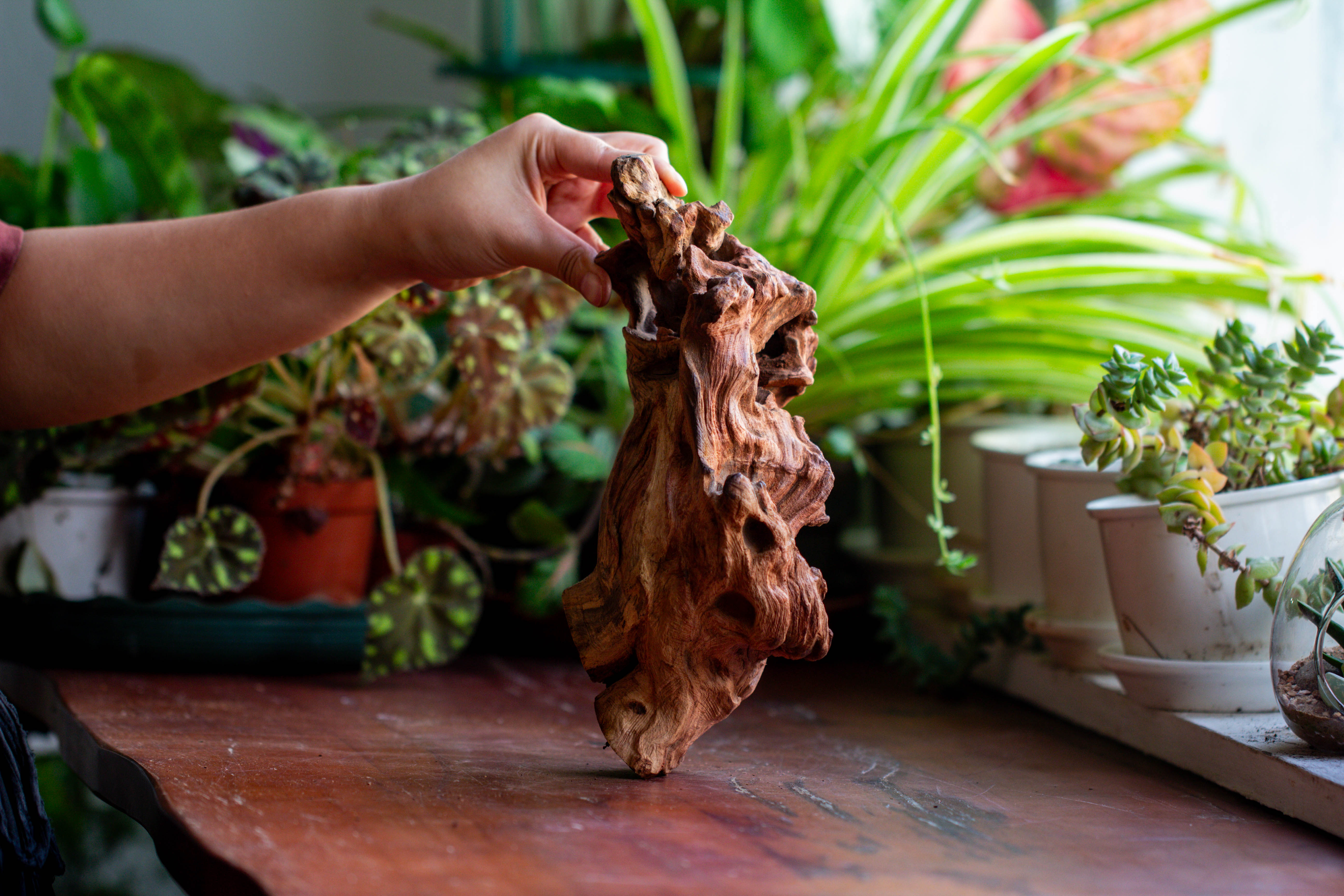 Natural driftwood for moss terrarium, miniature, micro landscape, unique  12-69, suitable for both live and preserved moss - NCYPgarden