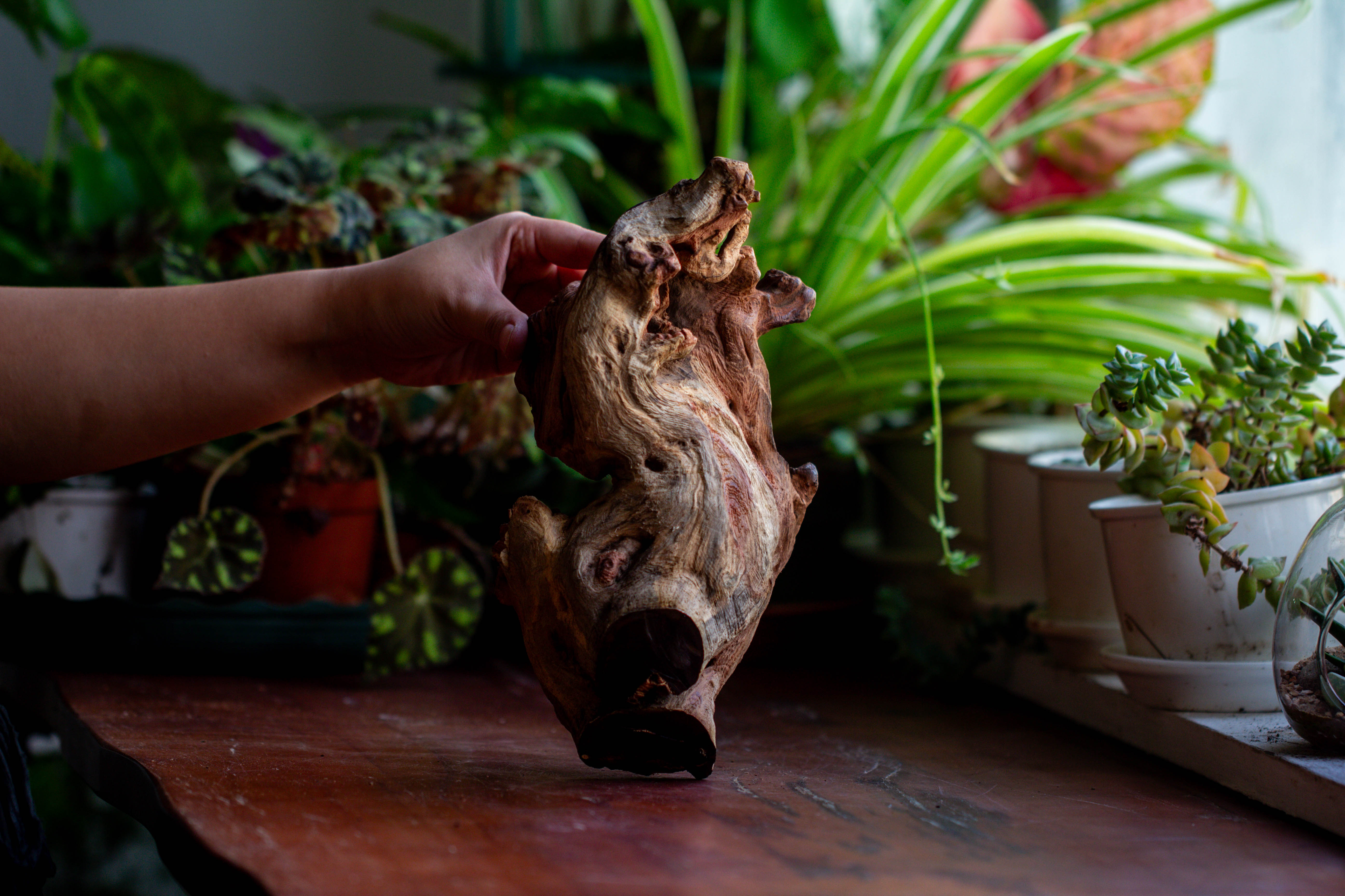 Natural driftwood for moss terrarium, miniature, micro landscape, unique  12-69, suitable for both live and preserved moss - NCYPgarden