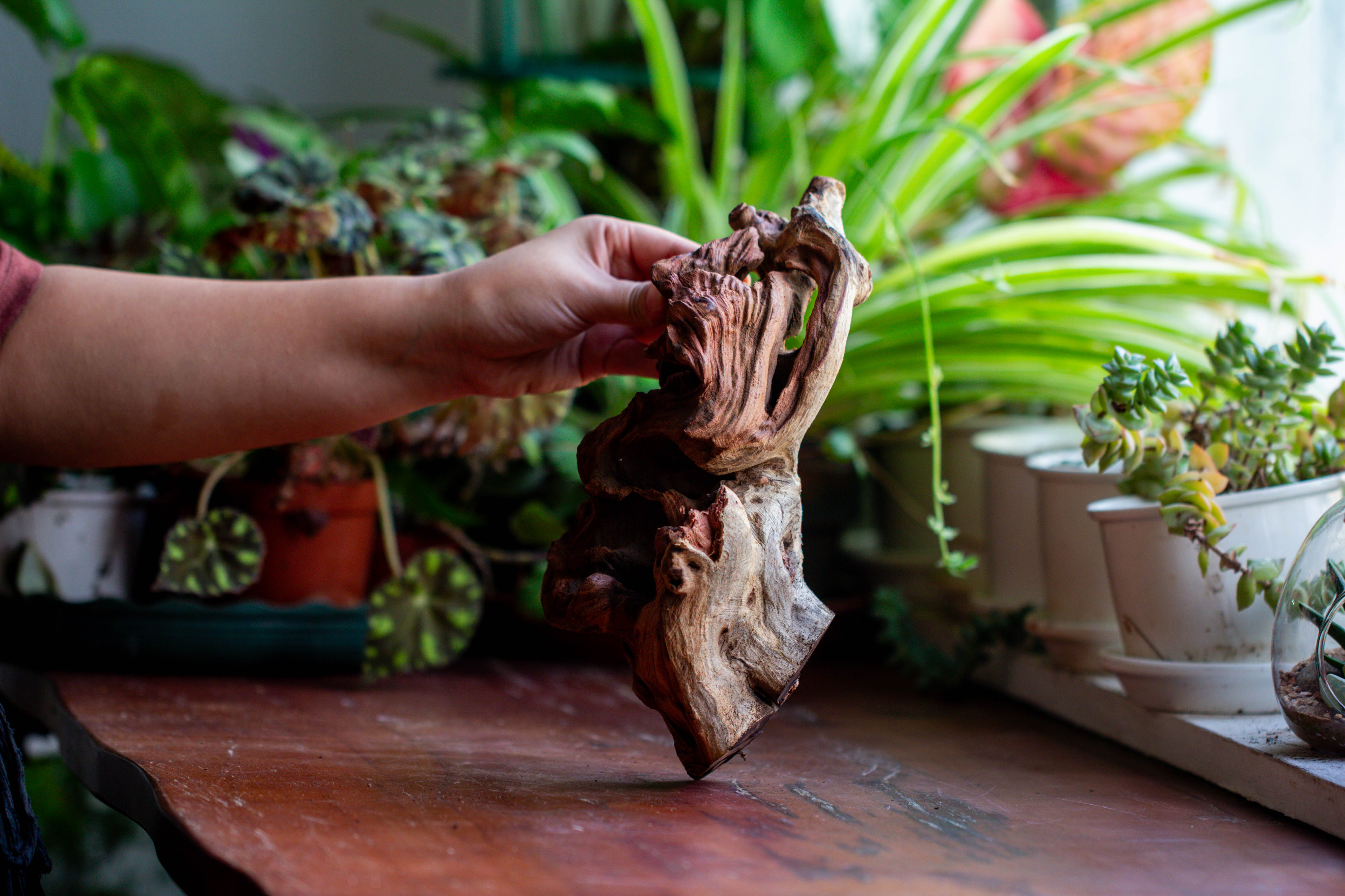 Natural driftwood for moss terrarium, miniature, micro landscape, unique  12-69, suitable for both live and preserved moss - NCYPgarden