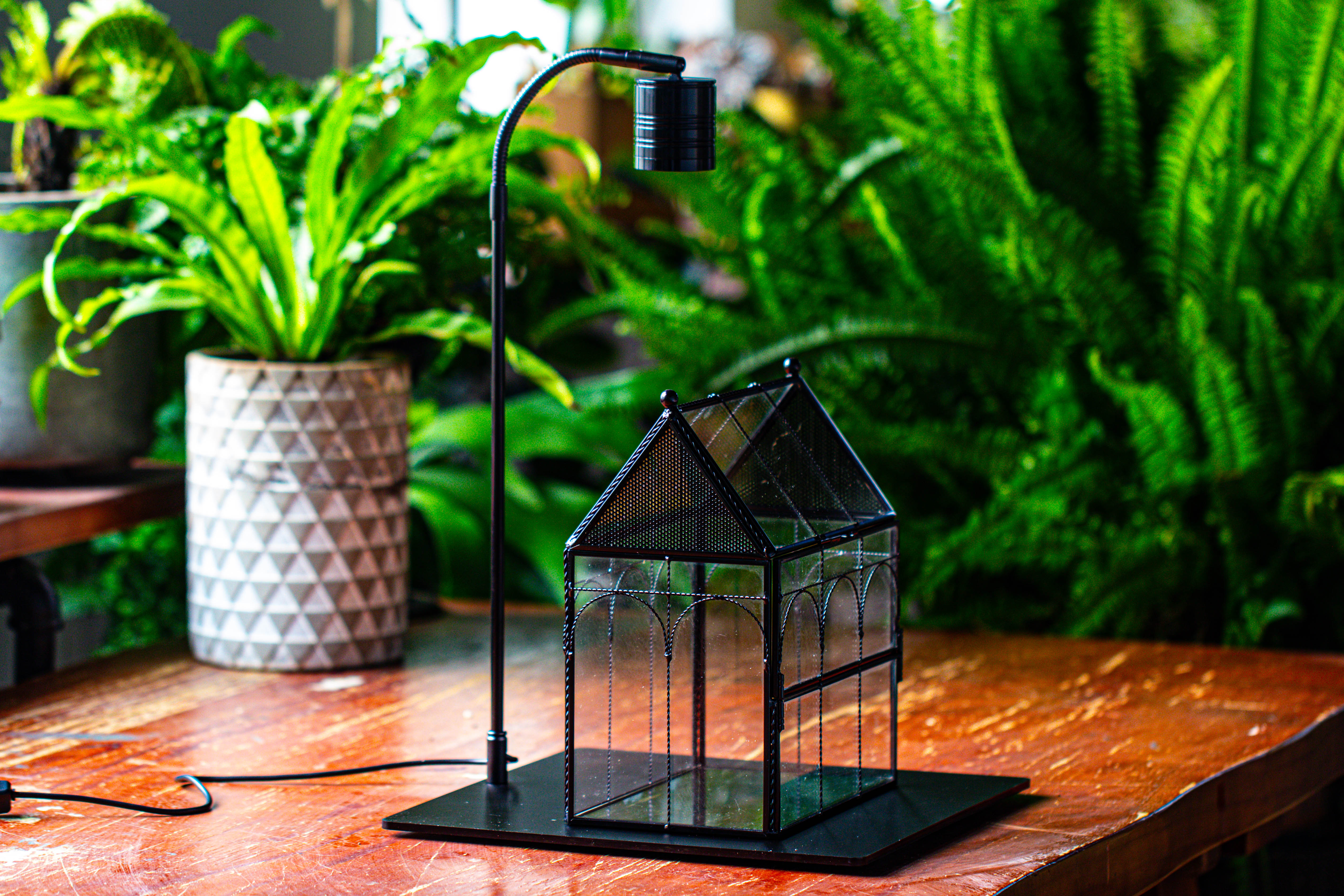 Handmade Twisted Wire House Shape Glass Geometric Terrarium with LED Light Set, Snail Jumping Spider Enclosure, Insect Container Set - NCYPgarden
