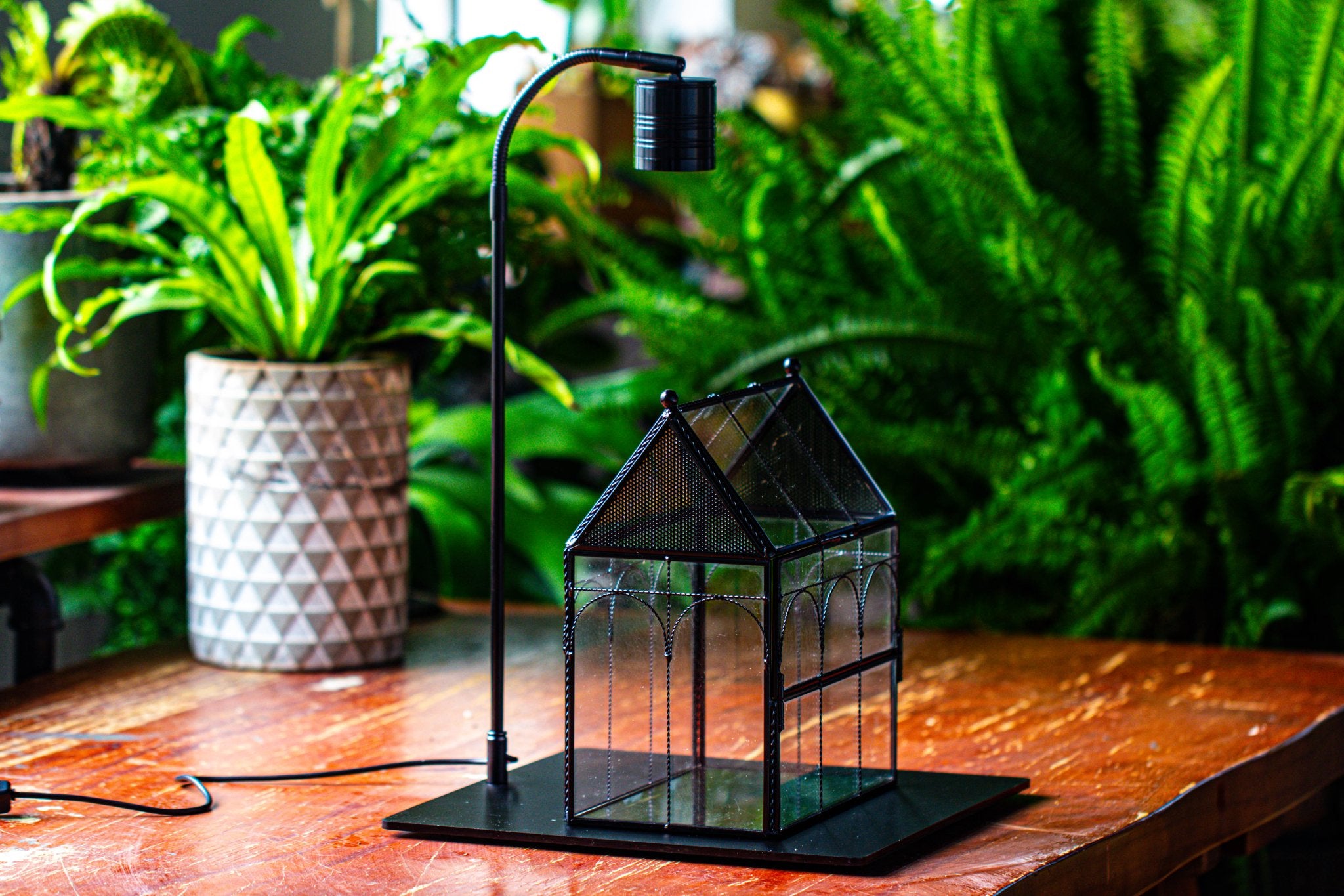 spider plant terrarium Handmade Twisted Wire House Shape Glass Geometric Terrarium with LED L – NCYPgarden