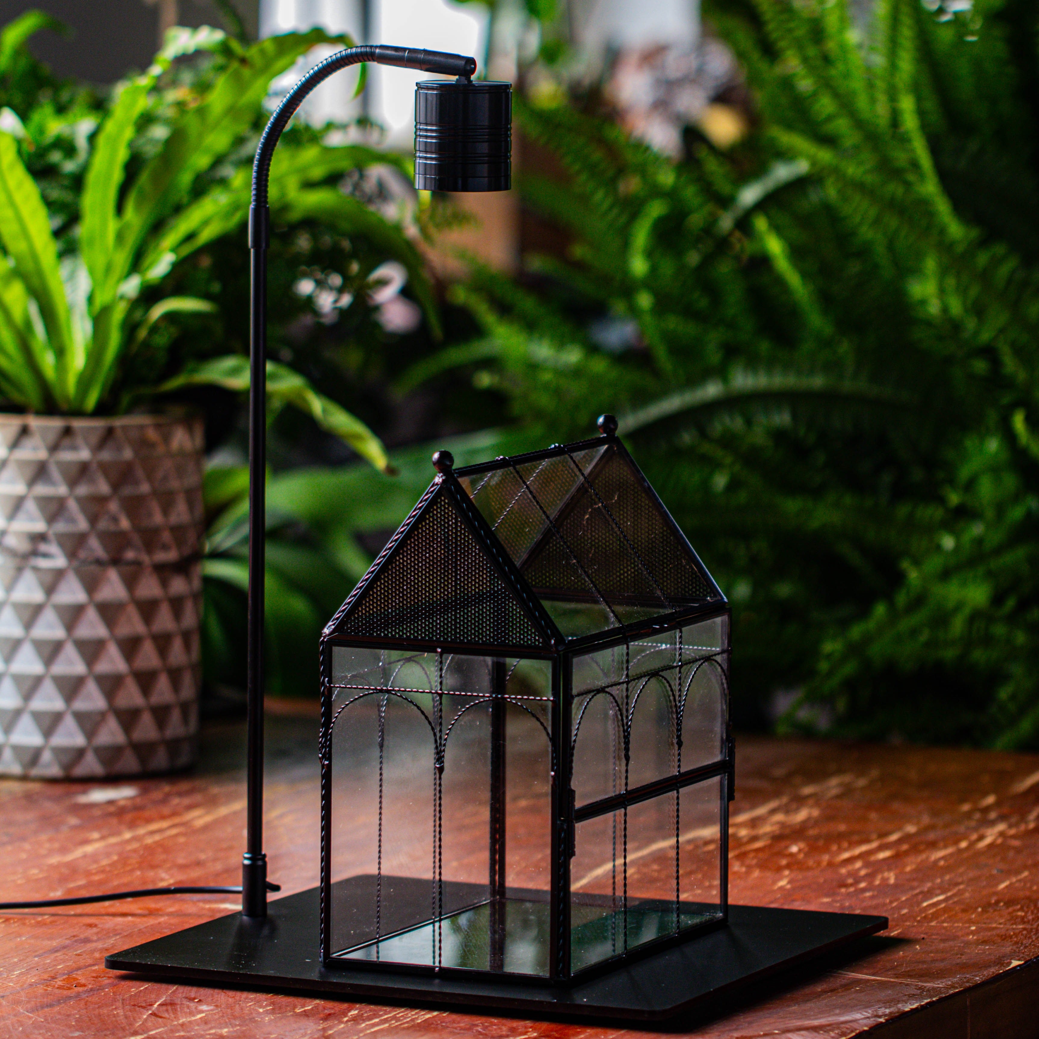 Handmade Twisted Wire House Shape Glass Geometric Terrarium with LED Light Set, Snail Jumping Spider Enclosure, Insect Container Set - NCYPgarden