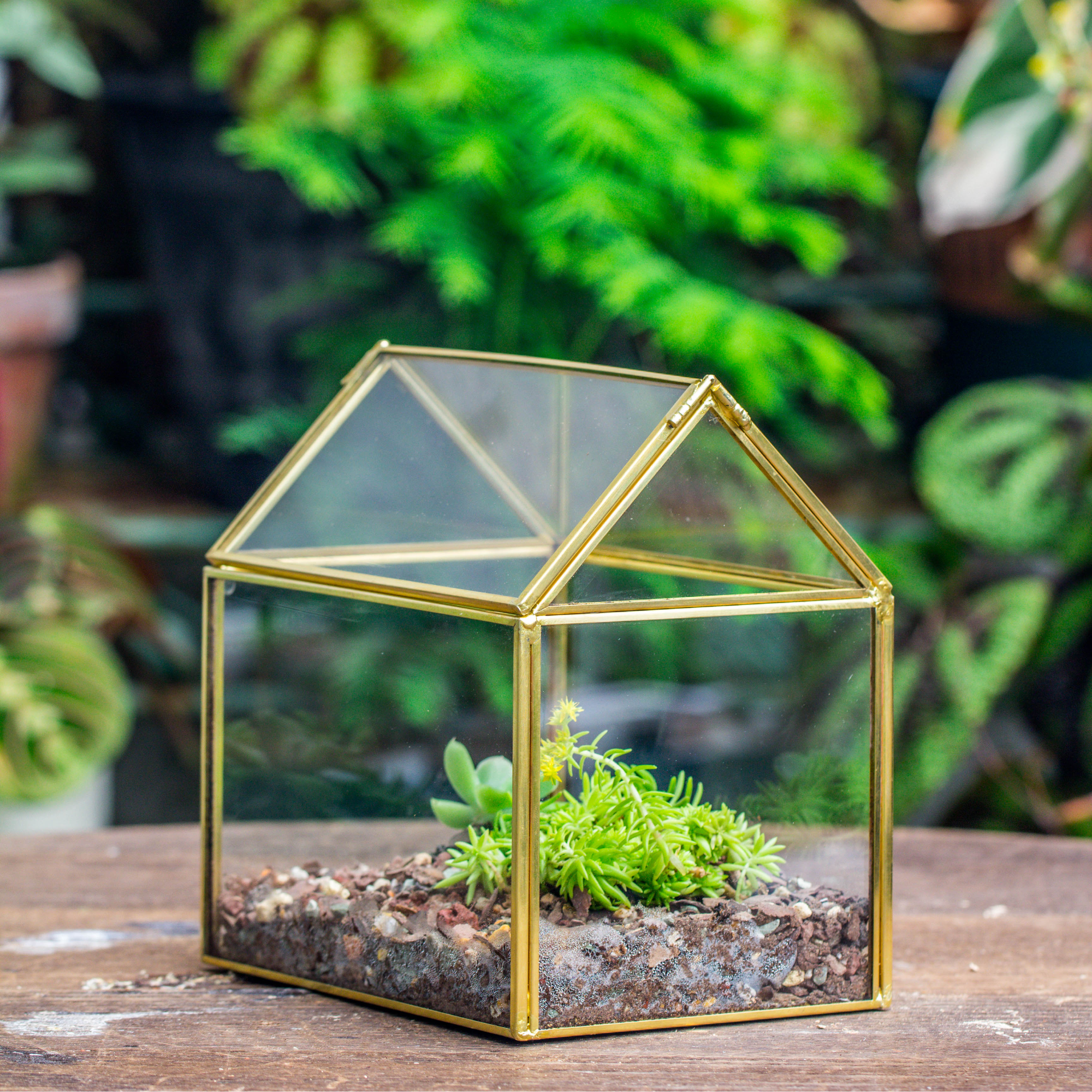 Handmade Gold Glass Box Geometric Terrarium with Lid for Planter Container Storage Case Gift PH06F1 - NCYPgarden