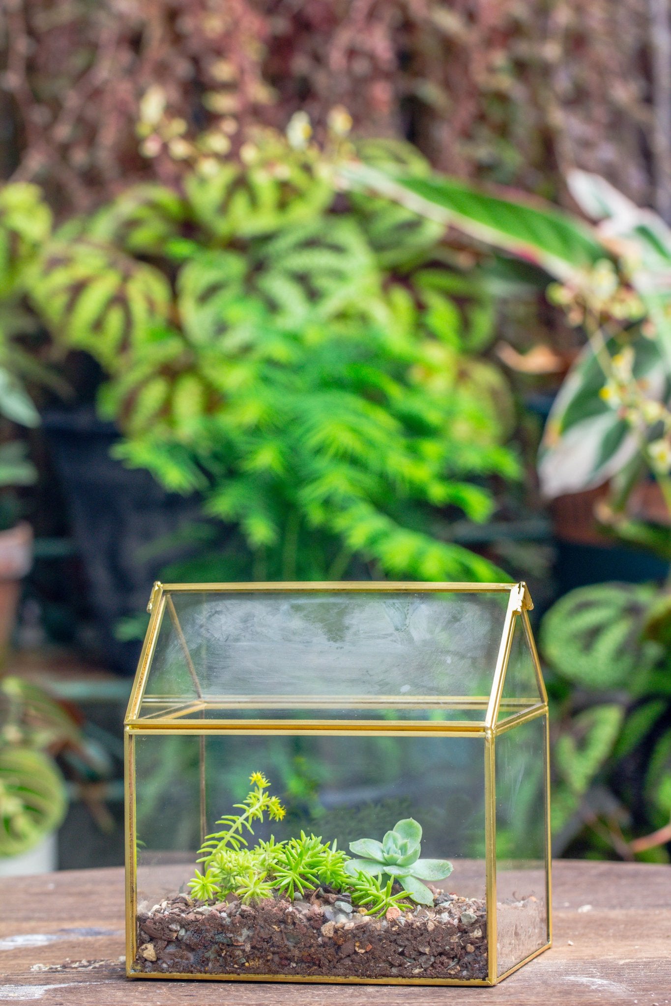 glass plant terrarium ideas Handmade Gold Glass Box Geometric Terrarium with Lid for Planter Container Storage Case Gift PH06F1