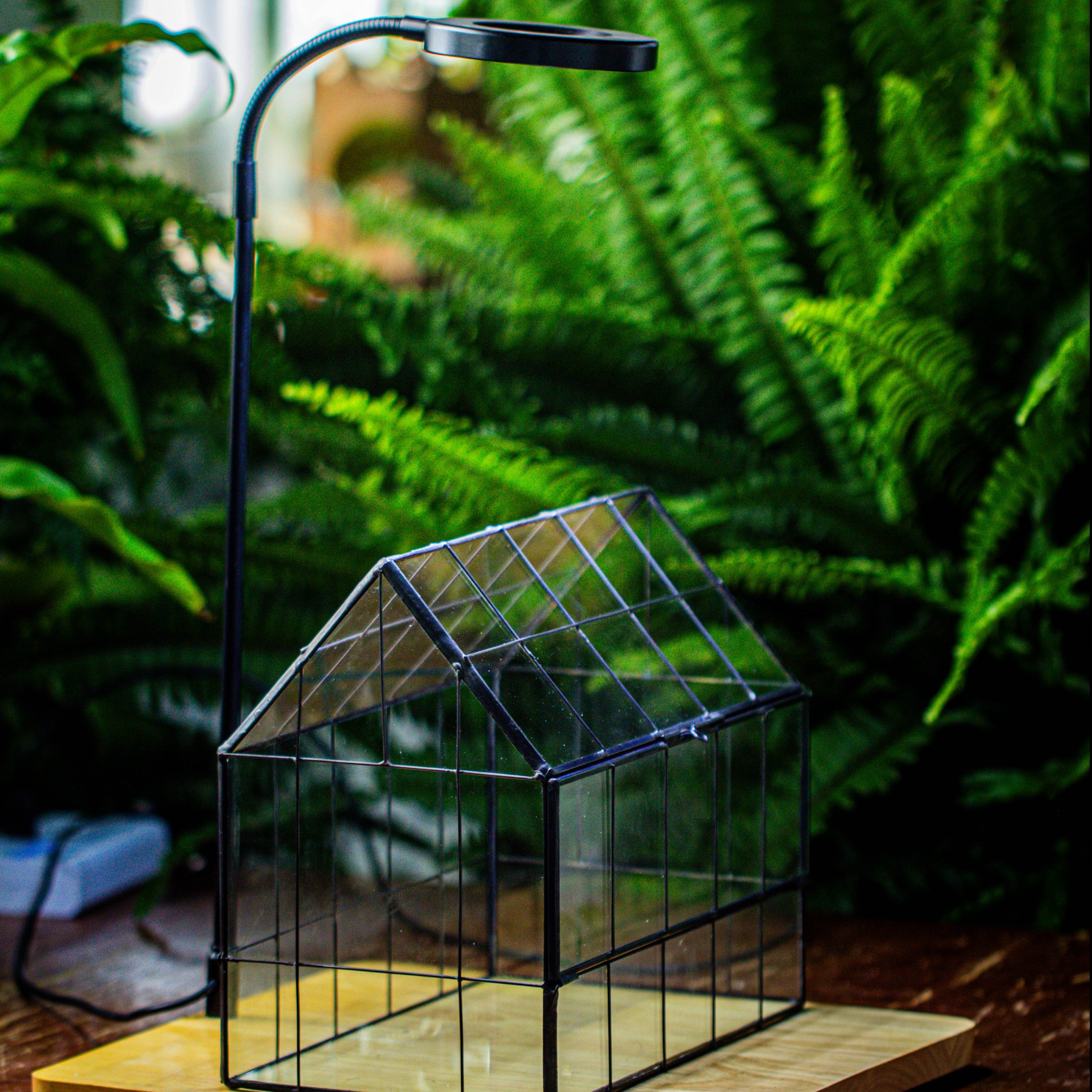Handmade Glass Terrarium with LED Grow Light Set, Side Door Closed Geometric GreenHouse with Base and Light Set - NCYPgarden