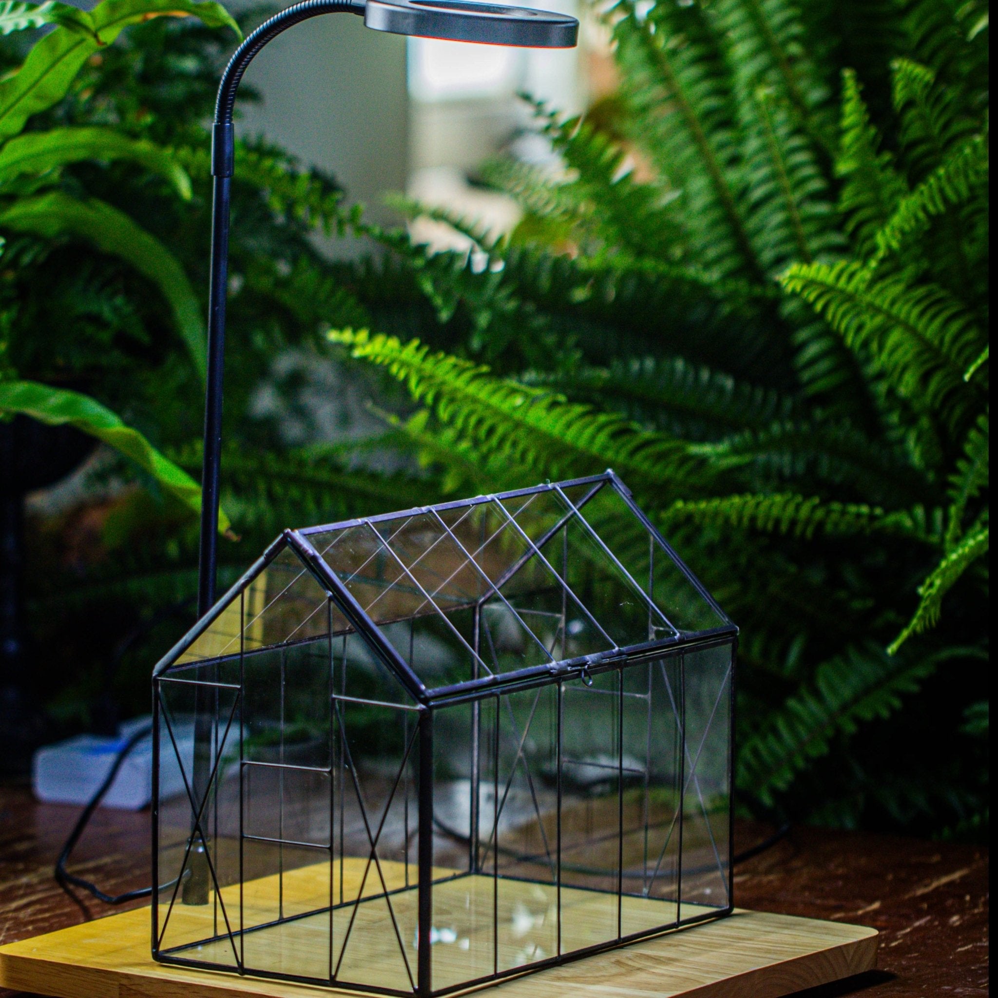 green house planter Handmade Vintage Greenhouse Inspired Tin Terrarium with LED Grow Light – NCYPgarden
