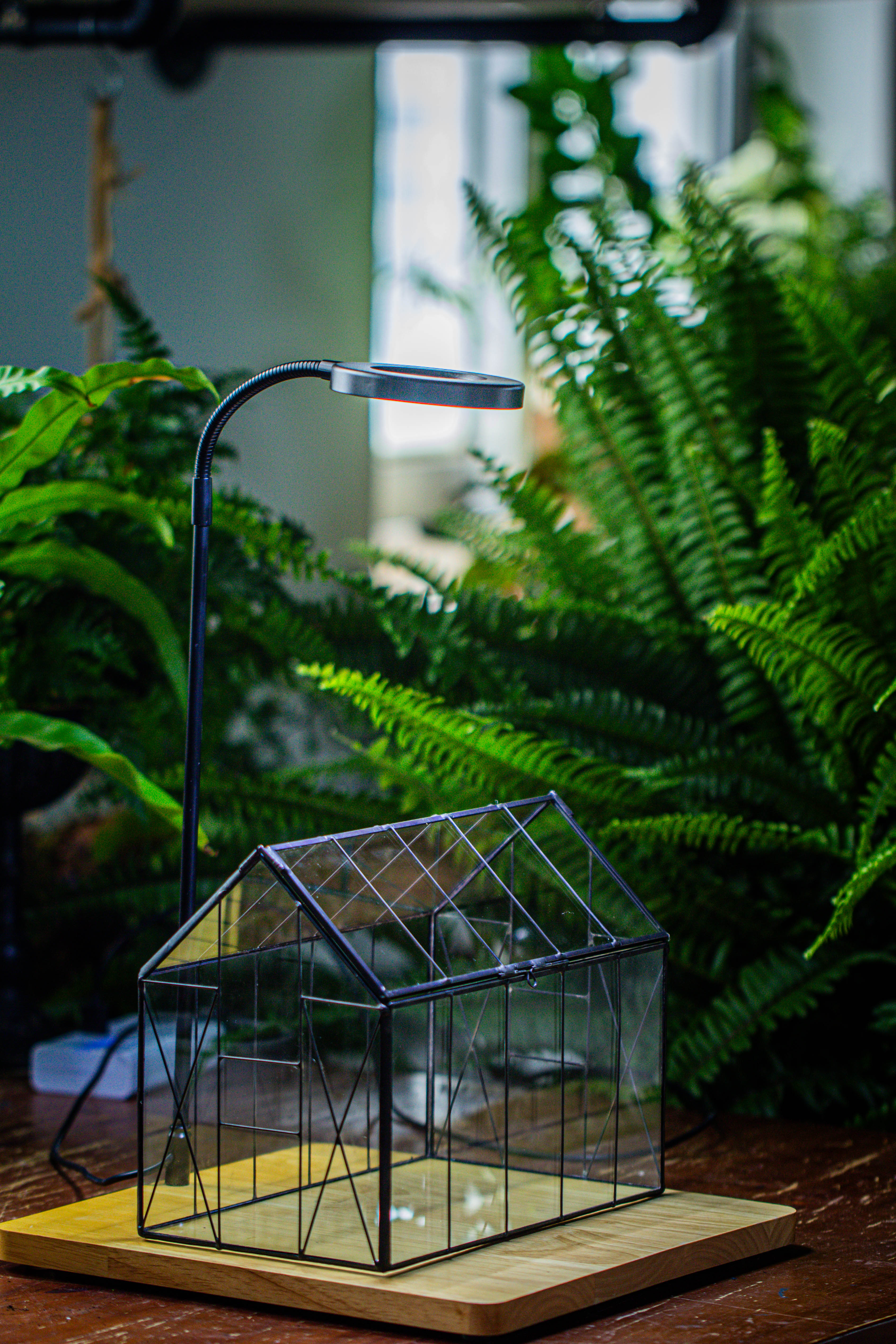 Handmade Vintage Greenhouse Inspired Tin Terrarium with LED Grow Light Set, Closed Glass Planter Set - NCYPgarden