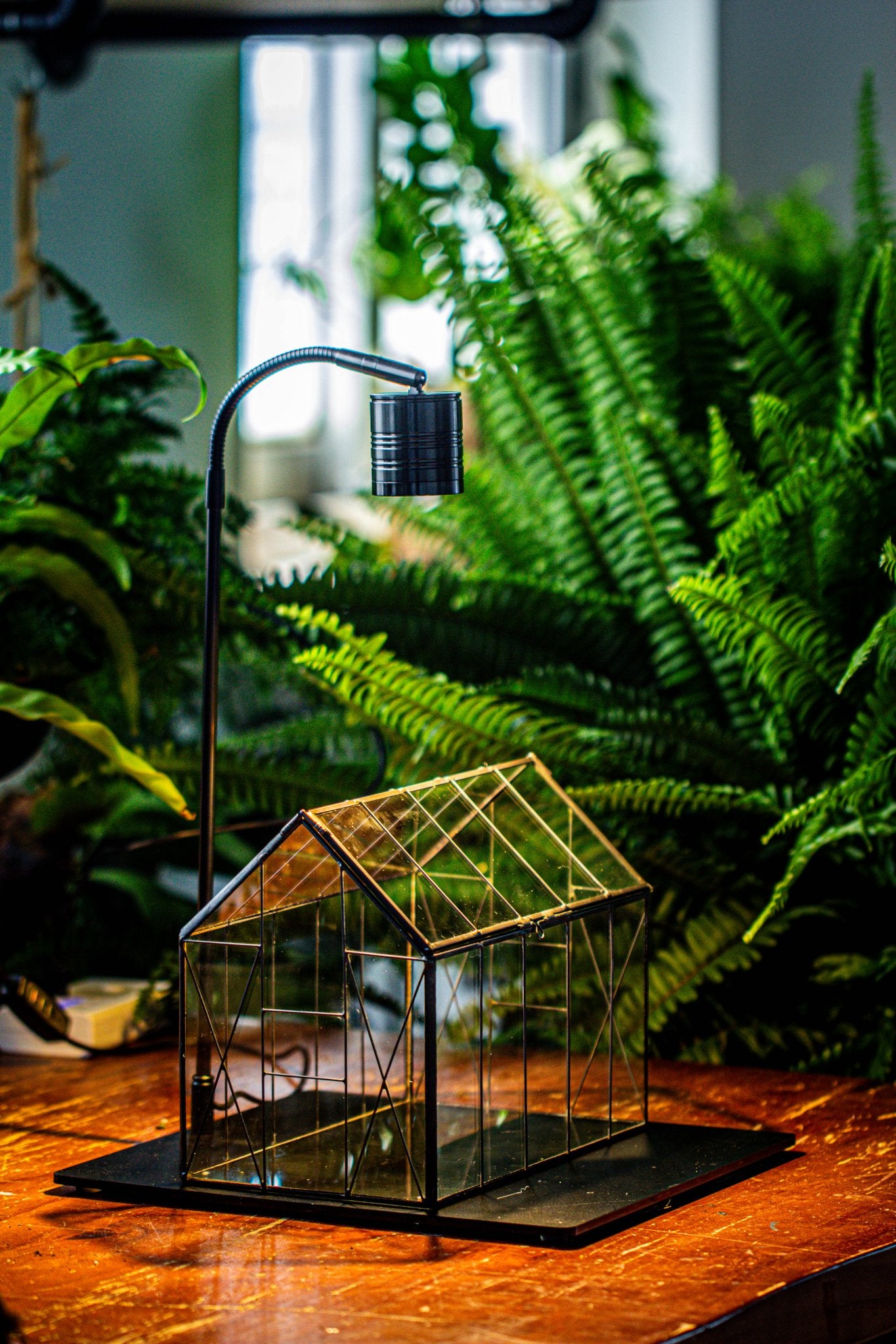 grow light planter Handmade Vintage Greenhouse Inspired Tin Terrarium with LED Grow Light Set, Closed Glass Planter Set