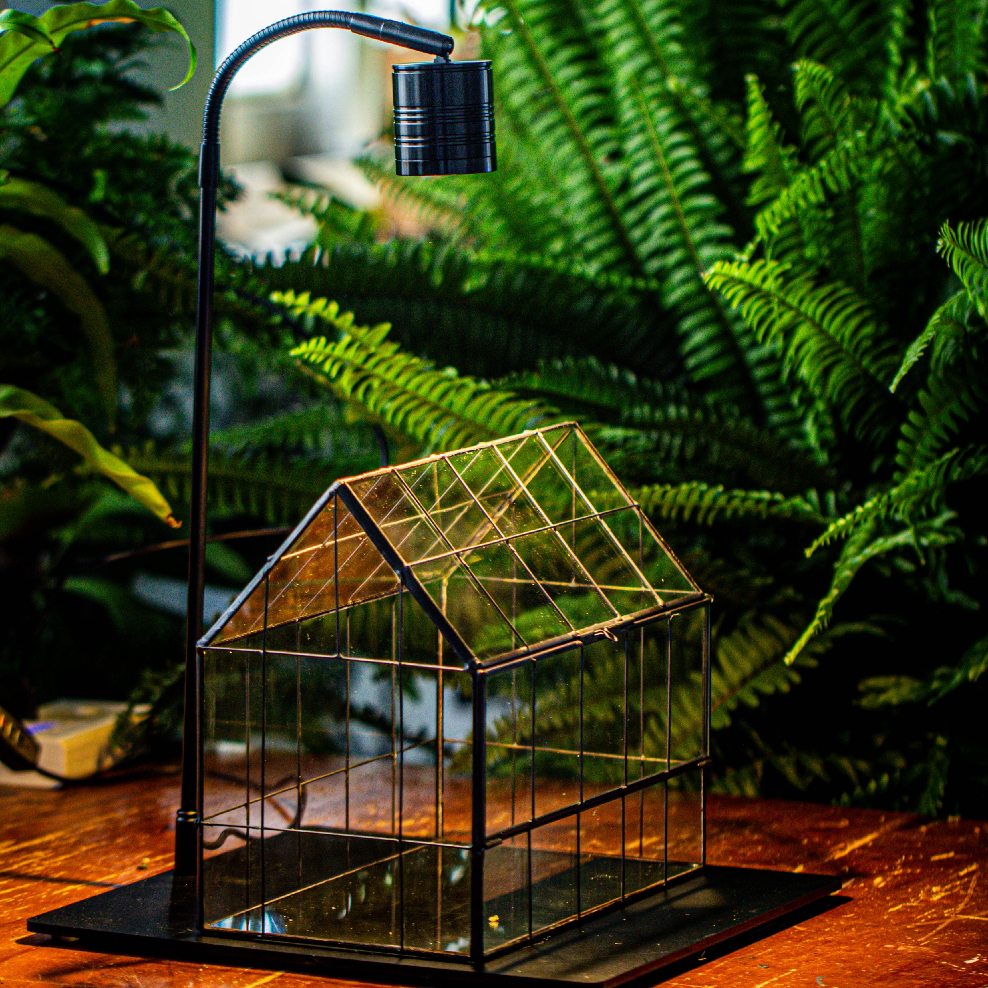 Handmade Glass Terrarium with LED Grow Light Set, Side Door Closed Geometric GreenHouse with Base and Light Set - NCYPgarden