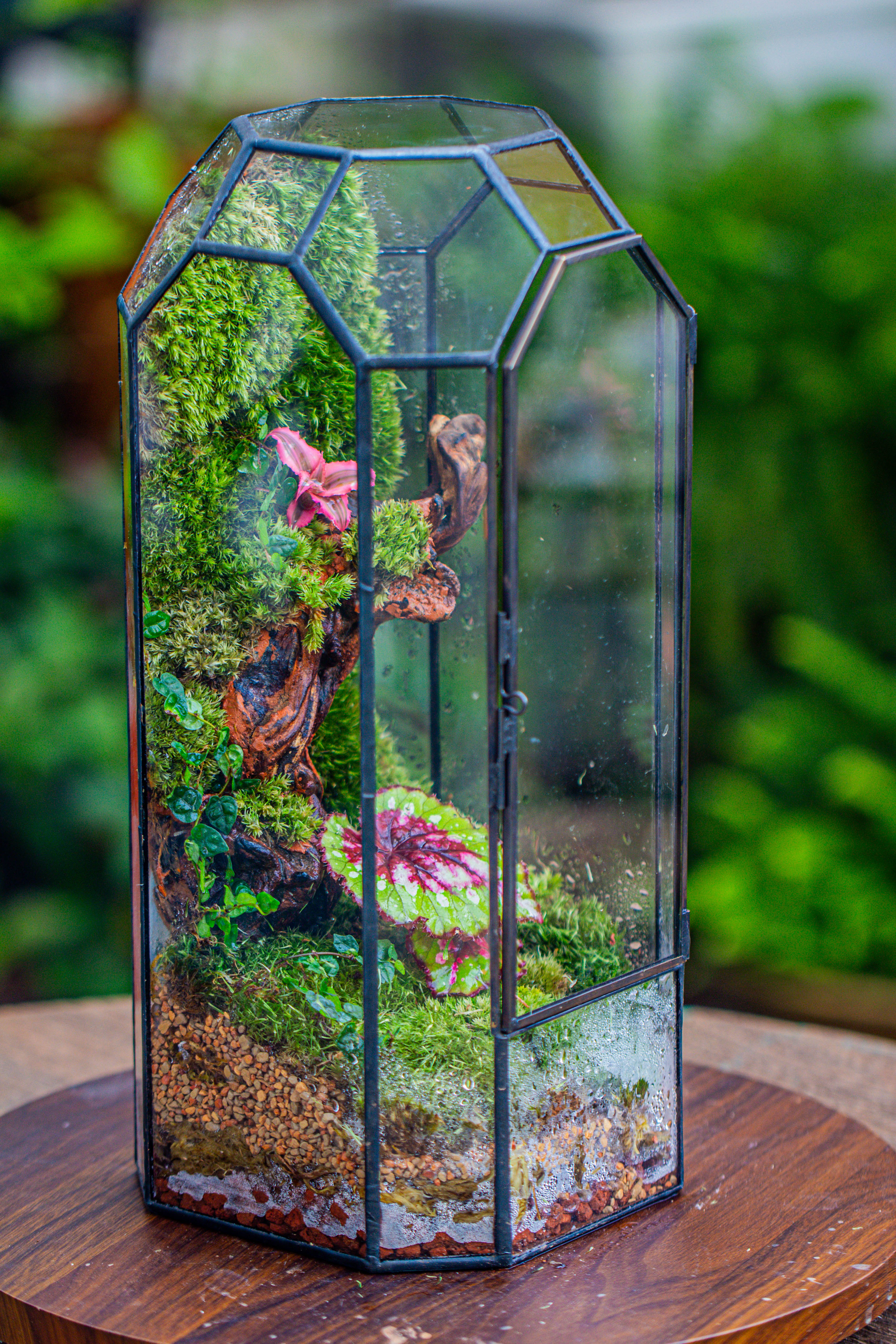 Vintage Tall Octagon Geometric Tin Glass Terrarium , 12.6" , close, suitable for tall plants, orchid, small begonia Pitcher, Micro landscape - NCYPgarden