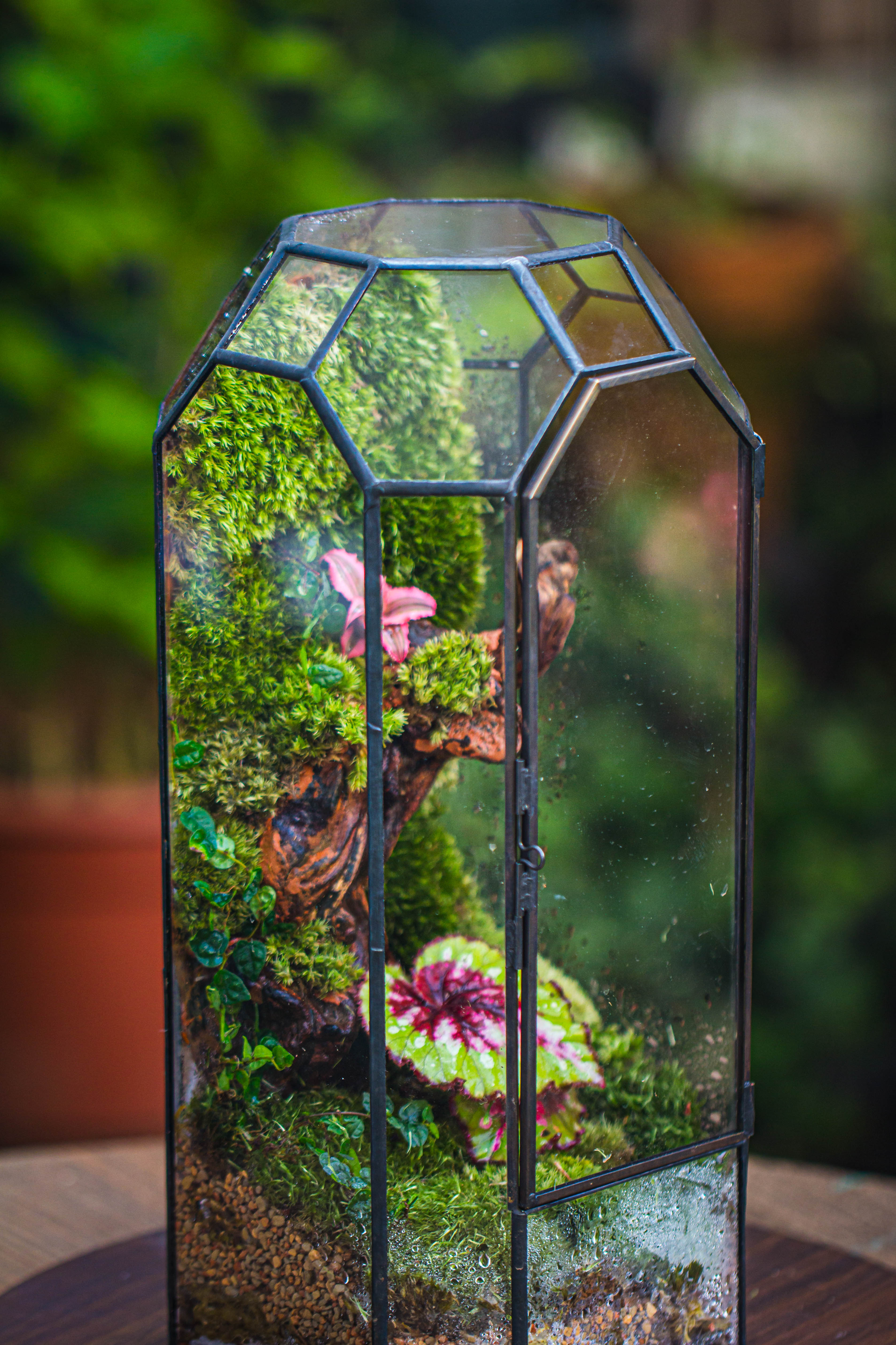 Vintage Tall Octagon Geometric Tin Glass Terrarium , 12.6" , close, suitable for tall plants, orchid, small begonia Pitcher, Micro landscape - NCYPgarden