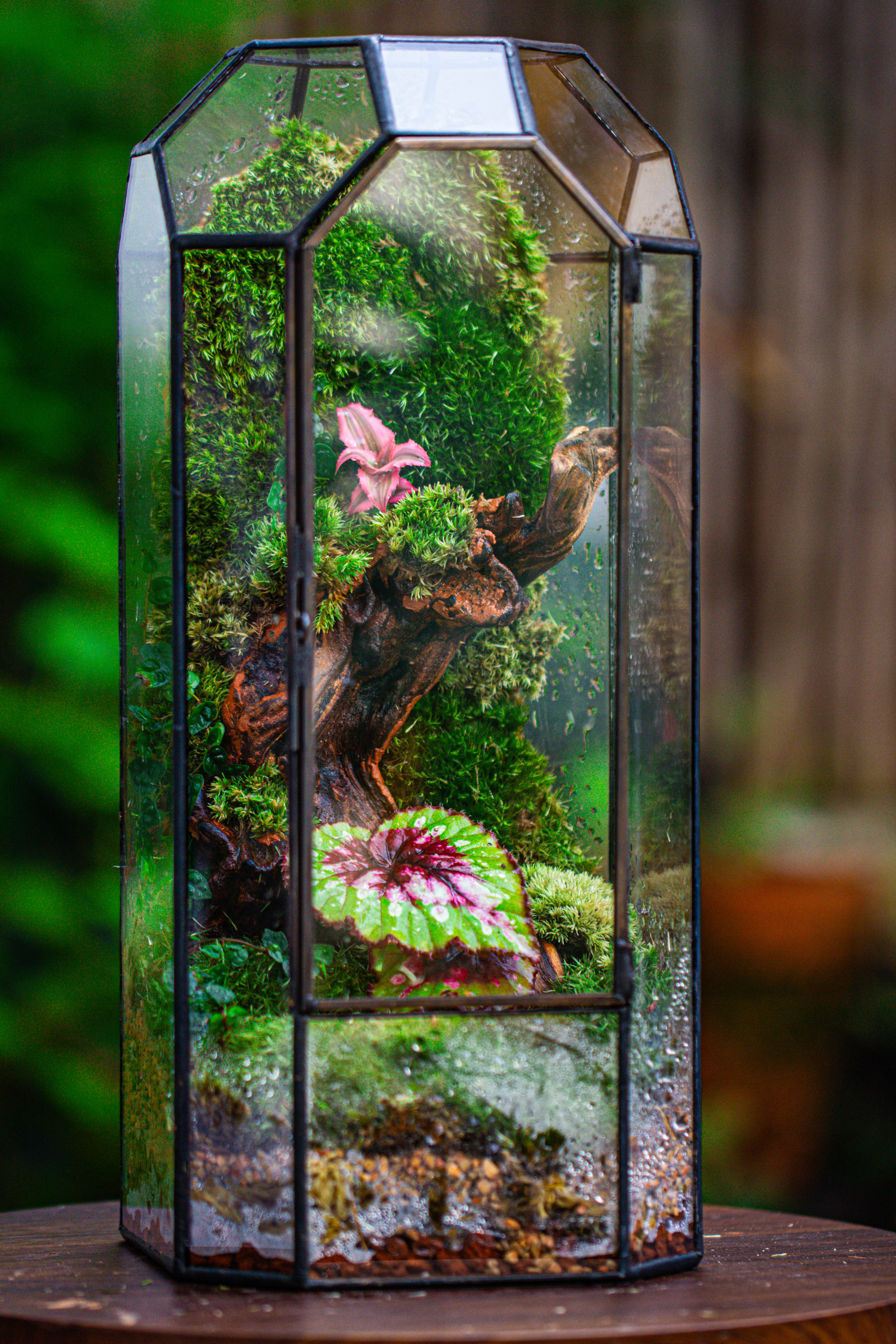 Vintage Tall Octagon Geometric Tin Glass Terrarium , 12.6" , close, suitable for tall plants, orchid, small begonia Pitcher, Micro landscape - NCYPgarden