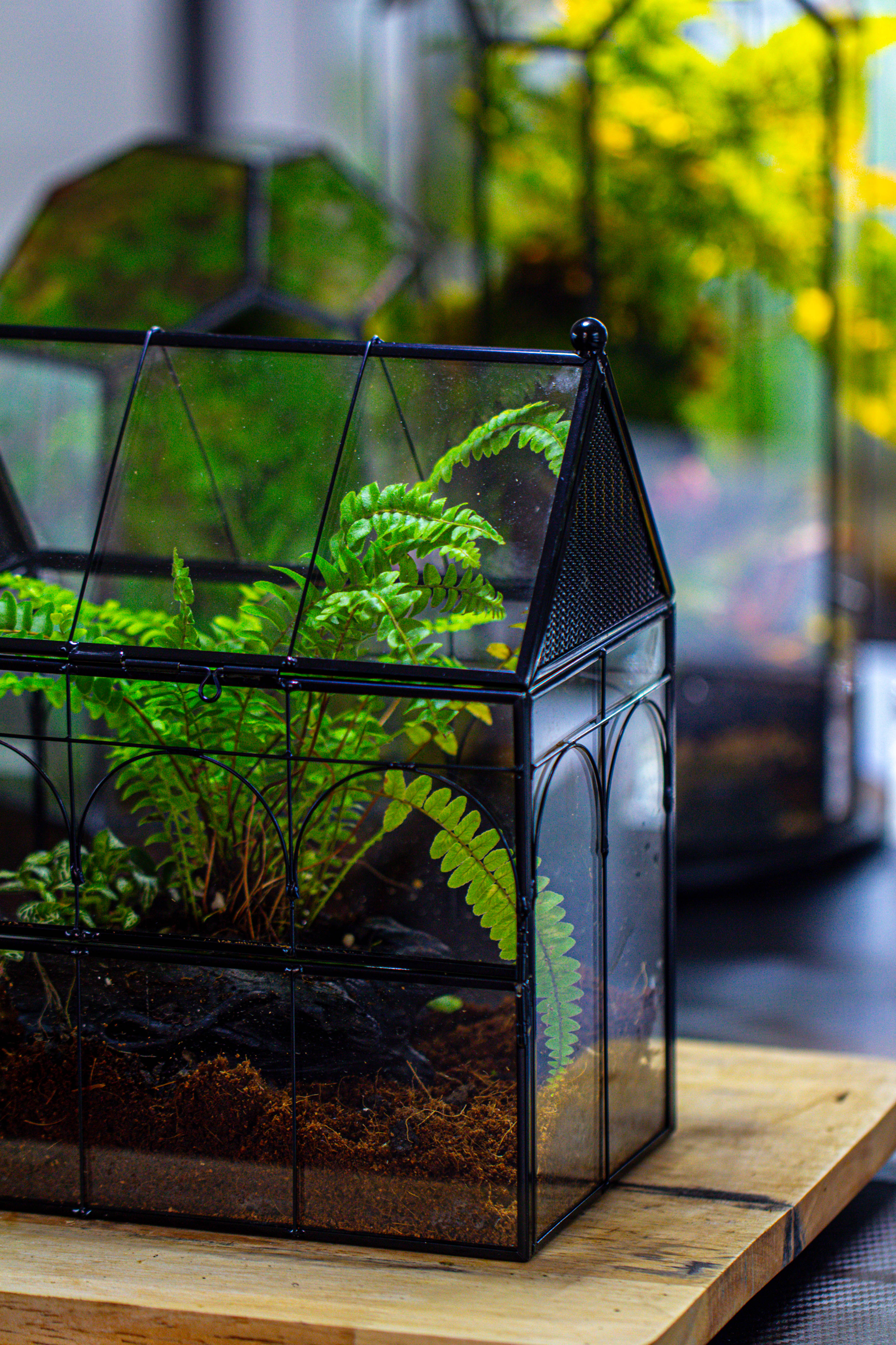 Handmade Terrarium with Light, House Shape Glass Geometric Terrarium with LED Light Set - NCYPgarden