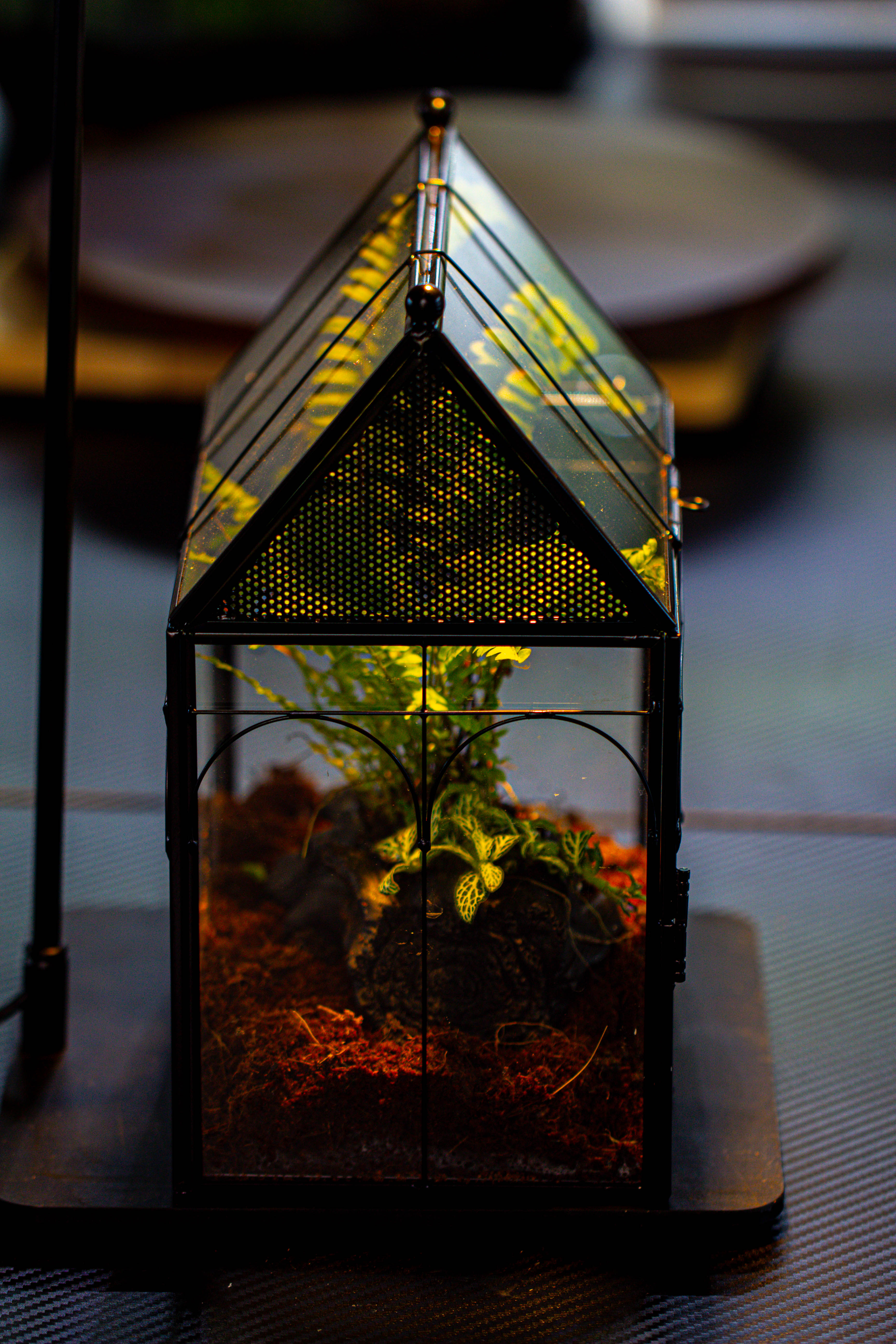 Handmade Terrarium with Light, House Shape Glass Geometric Terrarium with LED Light Set - NCYPgarden