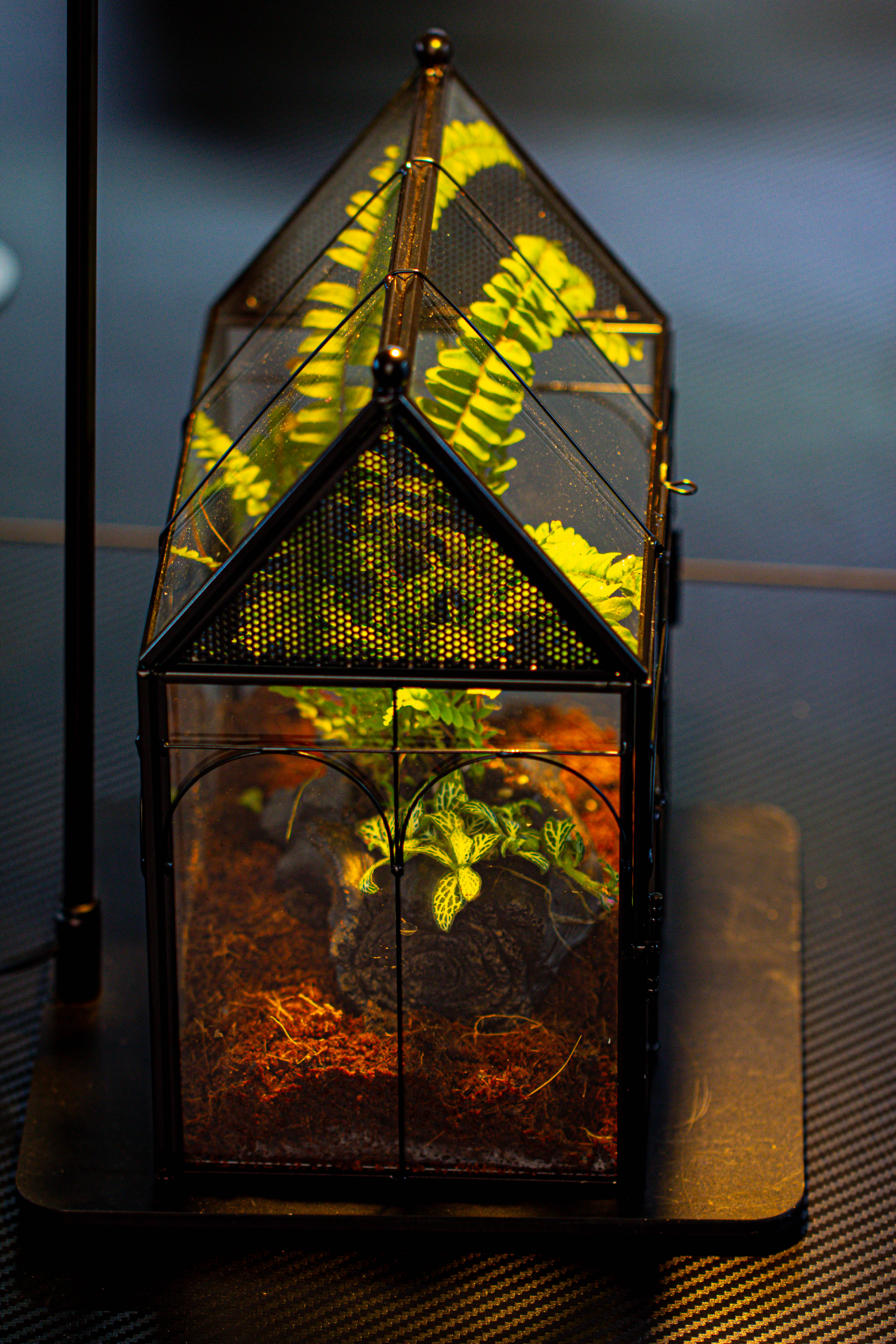 NCYP Vintage House Shape Glass Geometric Terrarium, with side door, with Mesh / vent holes for small Insects Pet building set - NCYPgarden