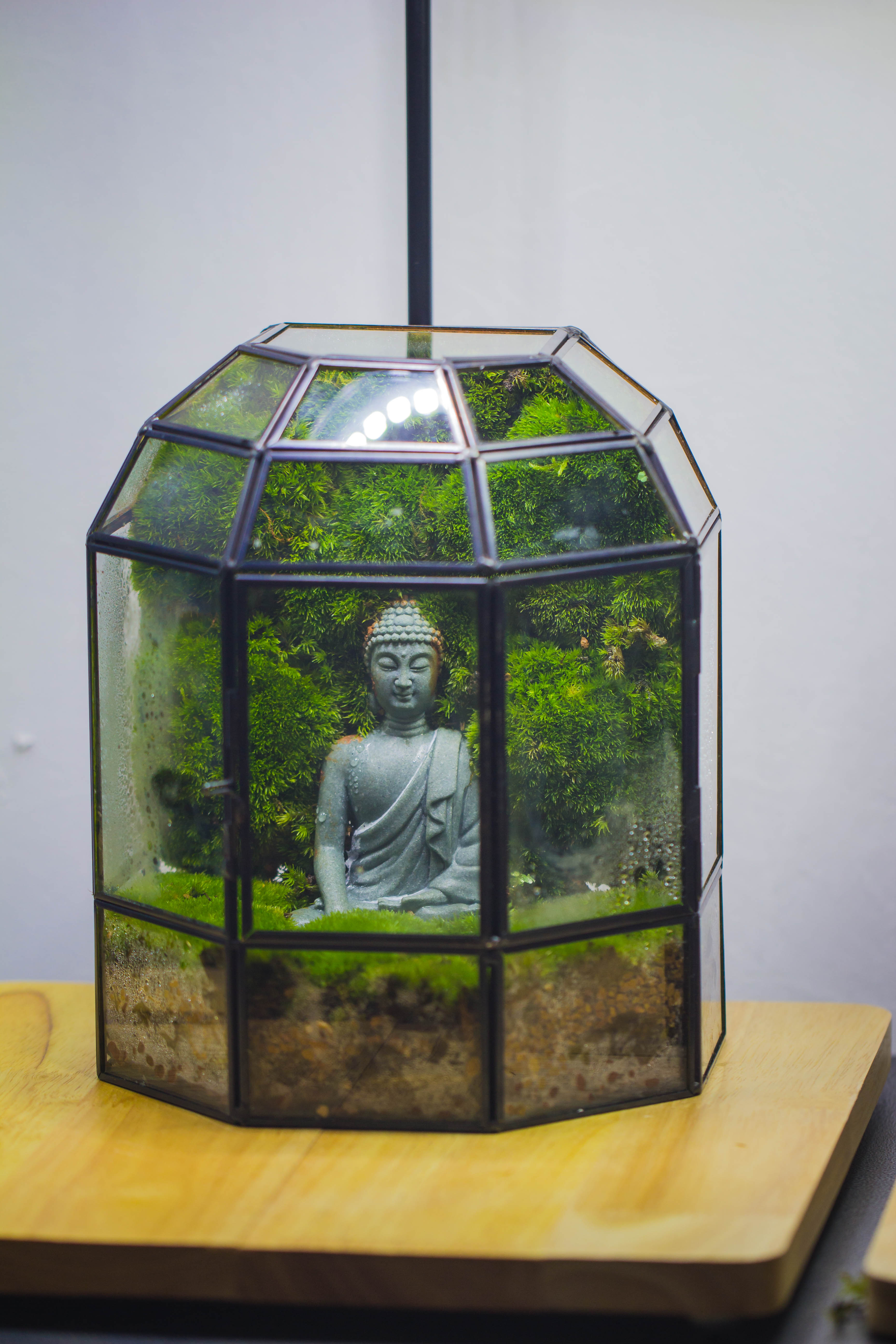 NCYP Half Dome Geometric Glass Terrarium Round, Closed Succulents Planter Pot Miniature Landscape Bonsai Container - NCYPgarden