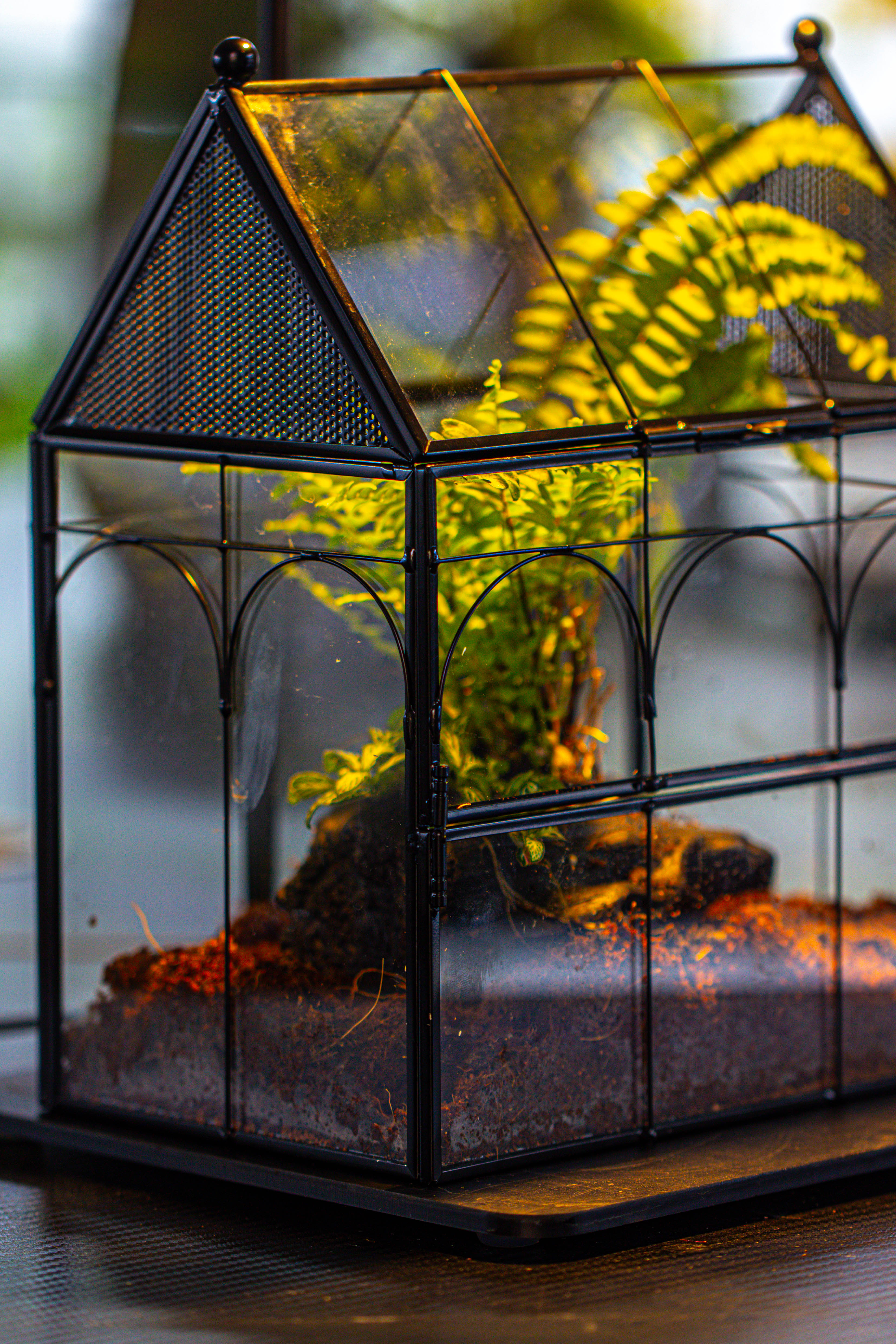 Handmade Terrarium with Light, House Shape Glass Geometric Terrarium with LED Light Set - NCYPgarden