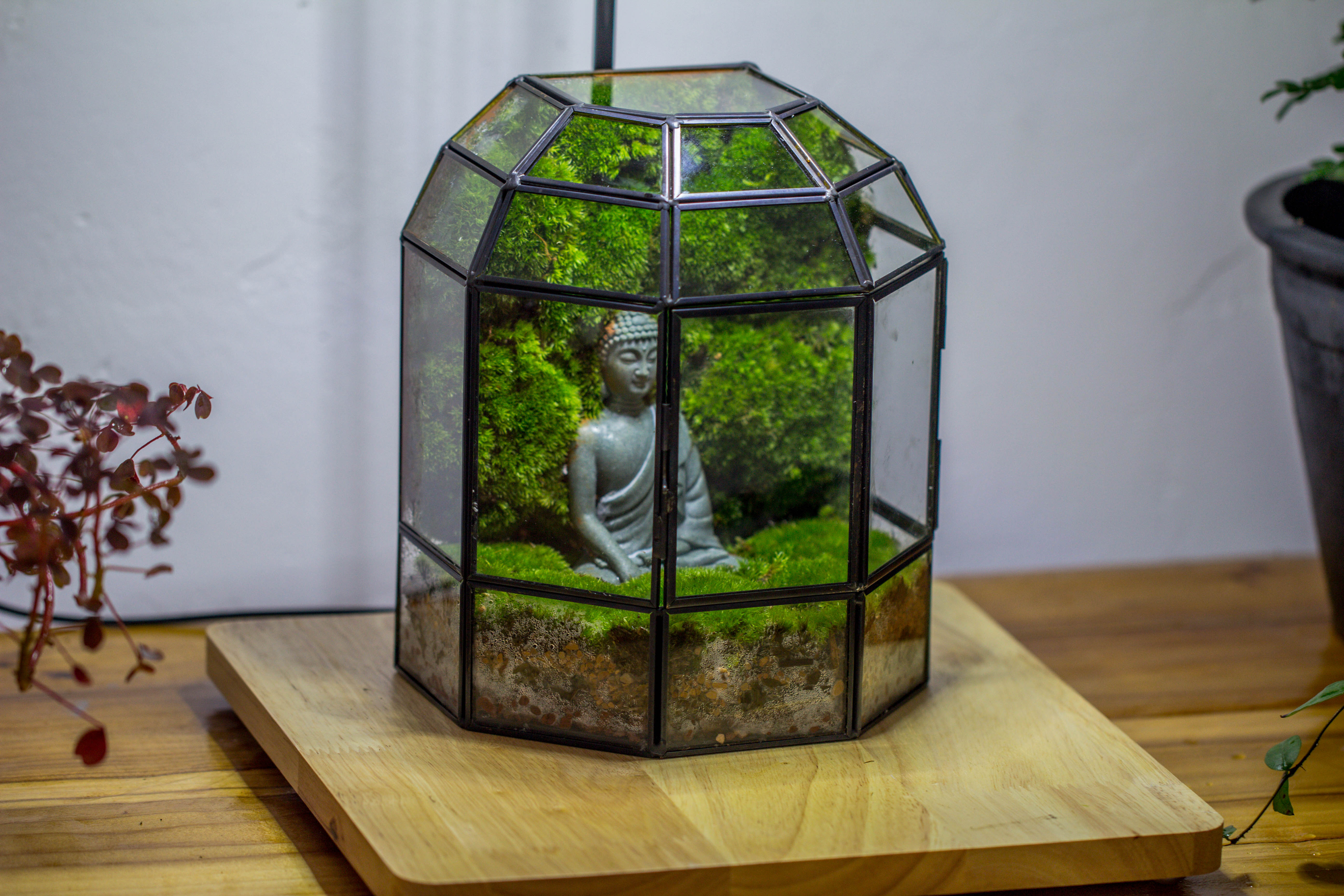 NCYP Half Dome Geometric Glass Terrarium Round, Closed Succulents Planter Pot Miniature Landscape Bonsai Container - NCYPgarden