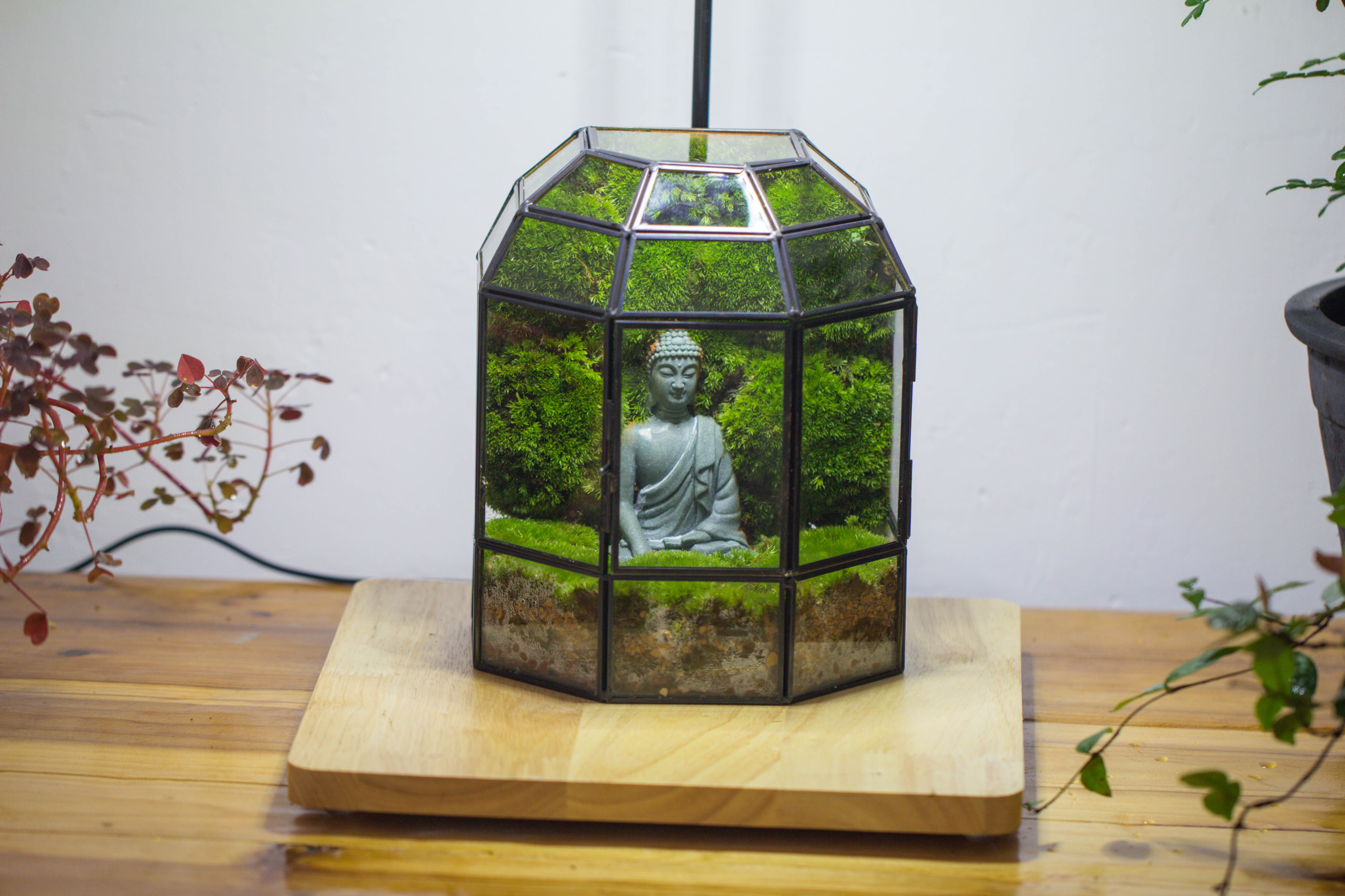 NCYP Half Dome Geometric Glass Terrarium Round, Closed Succulents Planter Pot Miniature Landscape Bonsai Container - NCYPgarden