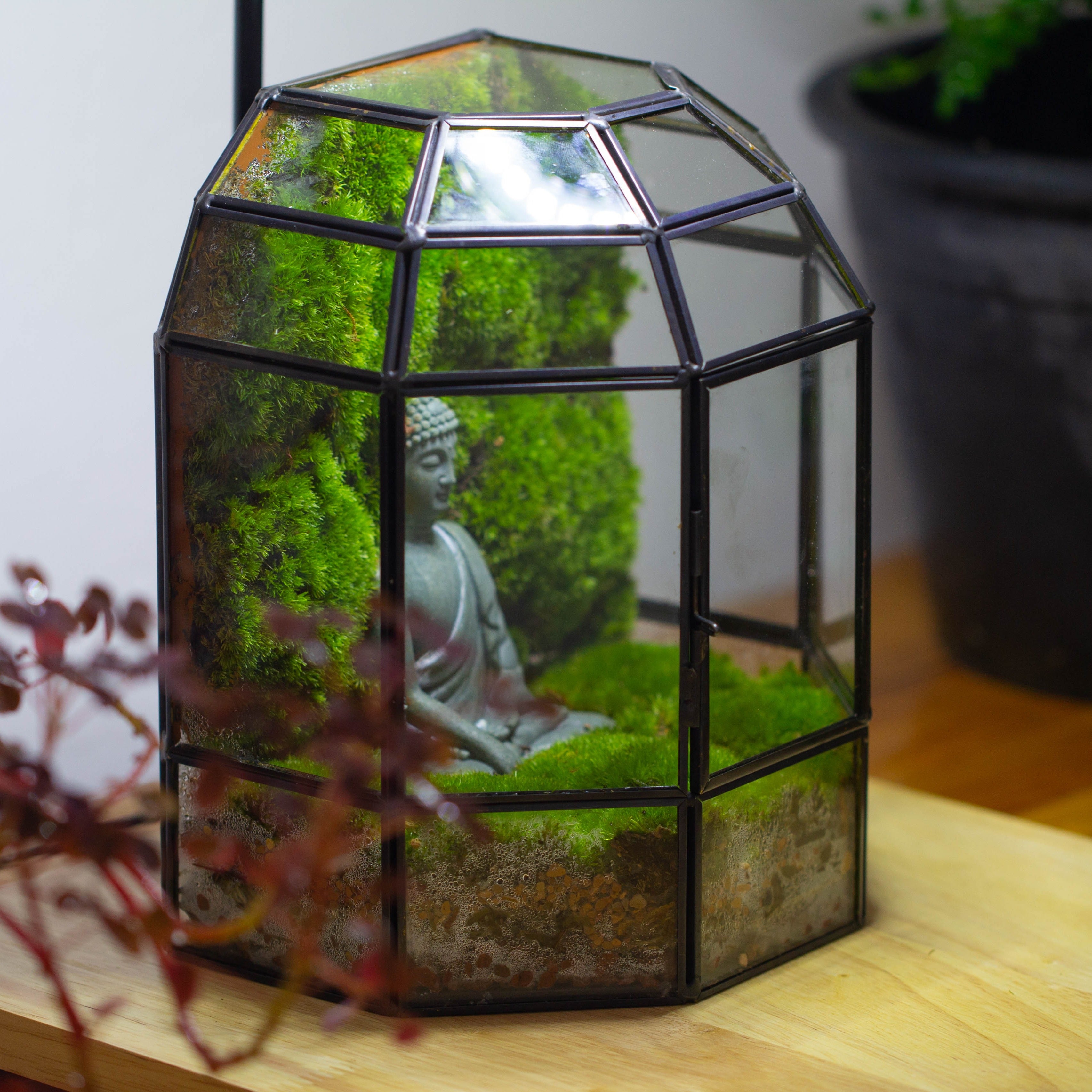 NCYP Half Dome Geometric Glass Terrarium Round, Closed Succulents Planter Pot Miniature Landscape Bonsai Container - NCYPgarden