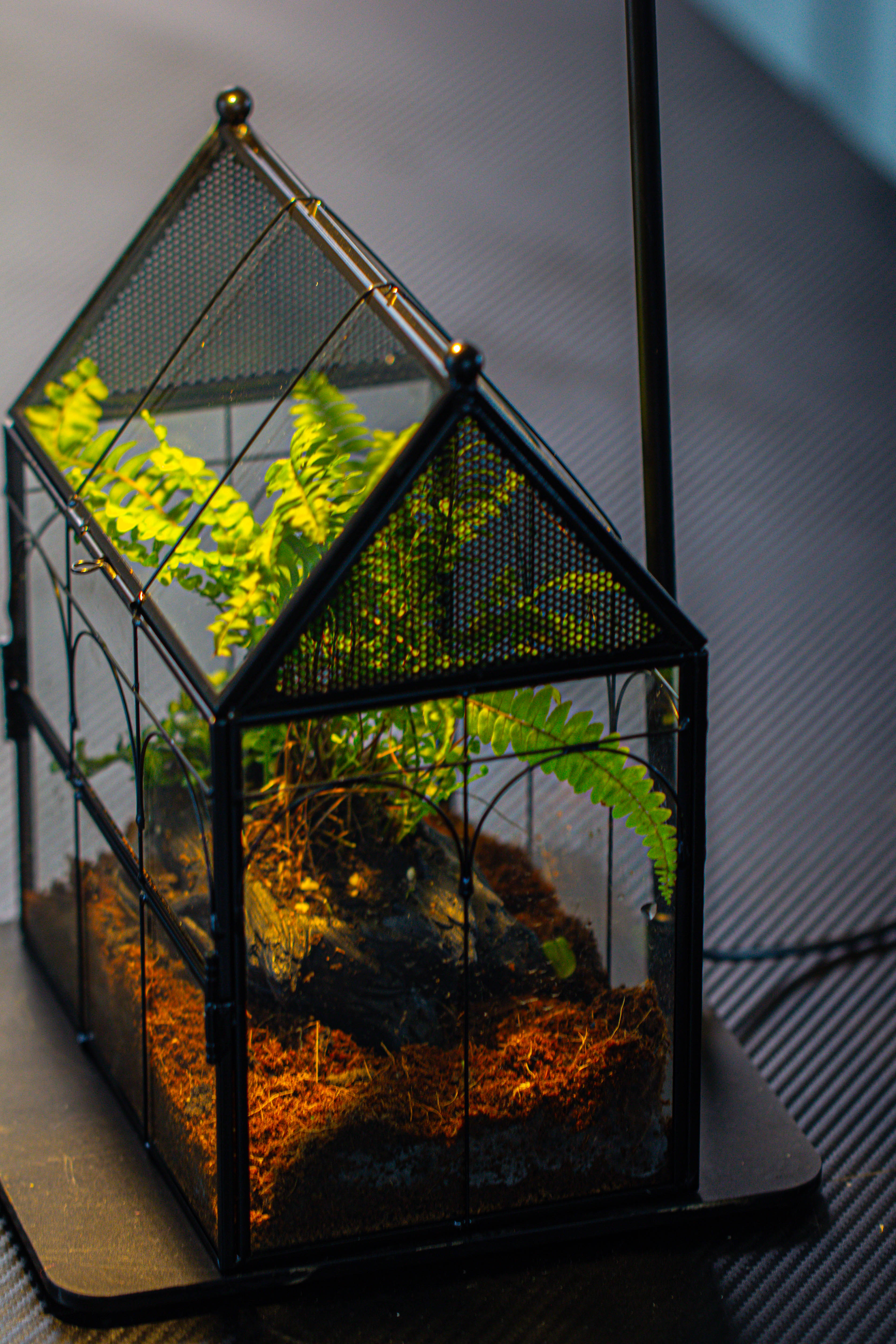 Handmade Terrarium with Light, House Shape Glass Geometric Terrarium with LED Light Set - NCYPgarden