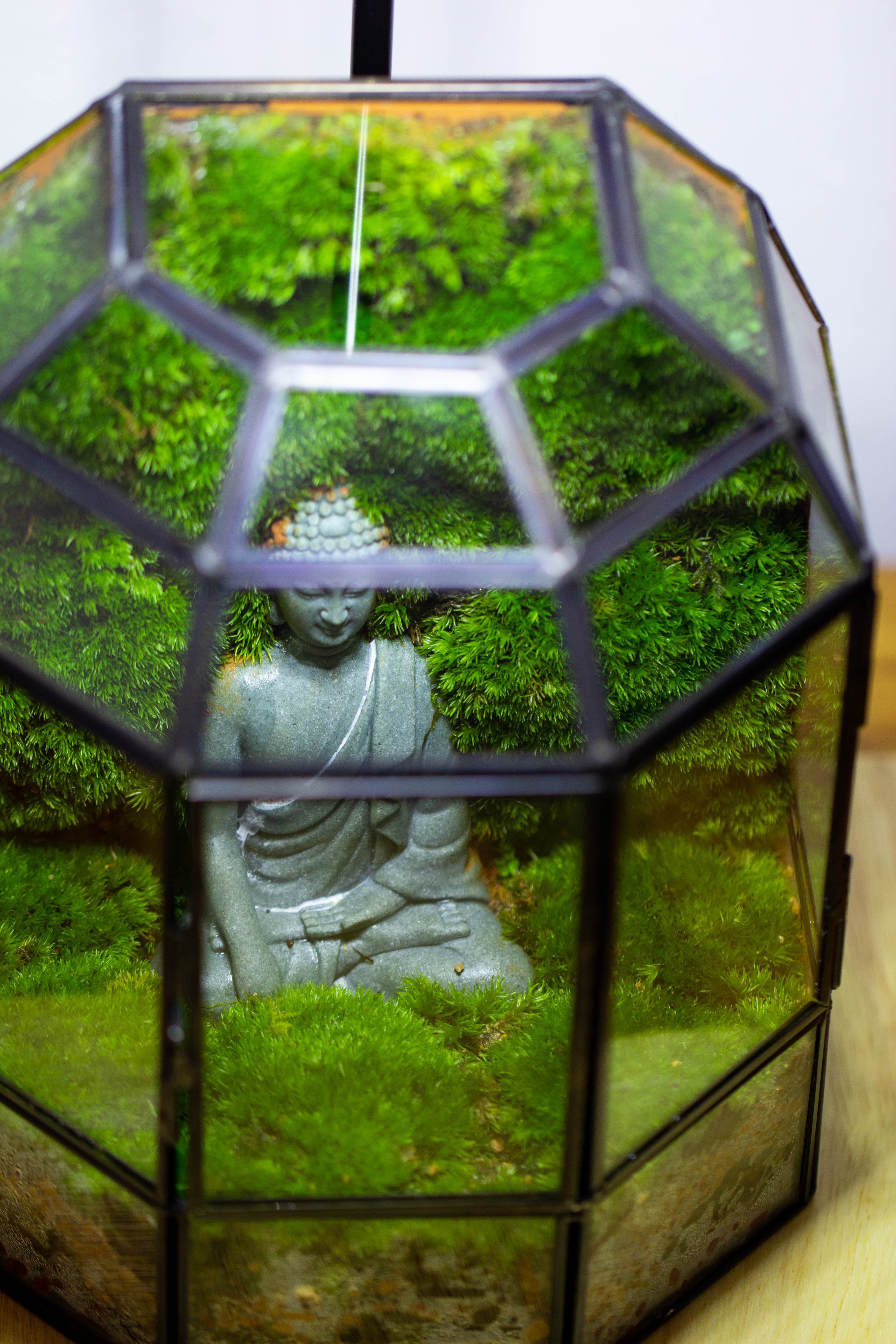 NCYP Half Dome Geometric Glass Terrarium Round, Closed Succulents Planter Pot Miniature Landscape Bonsai Container - NCYPgarden