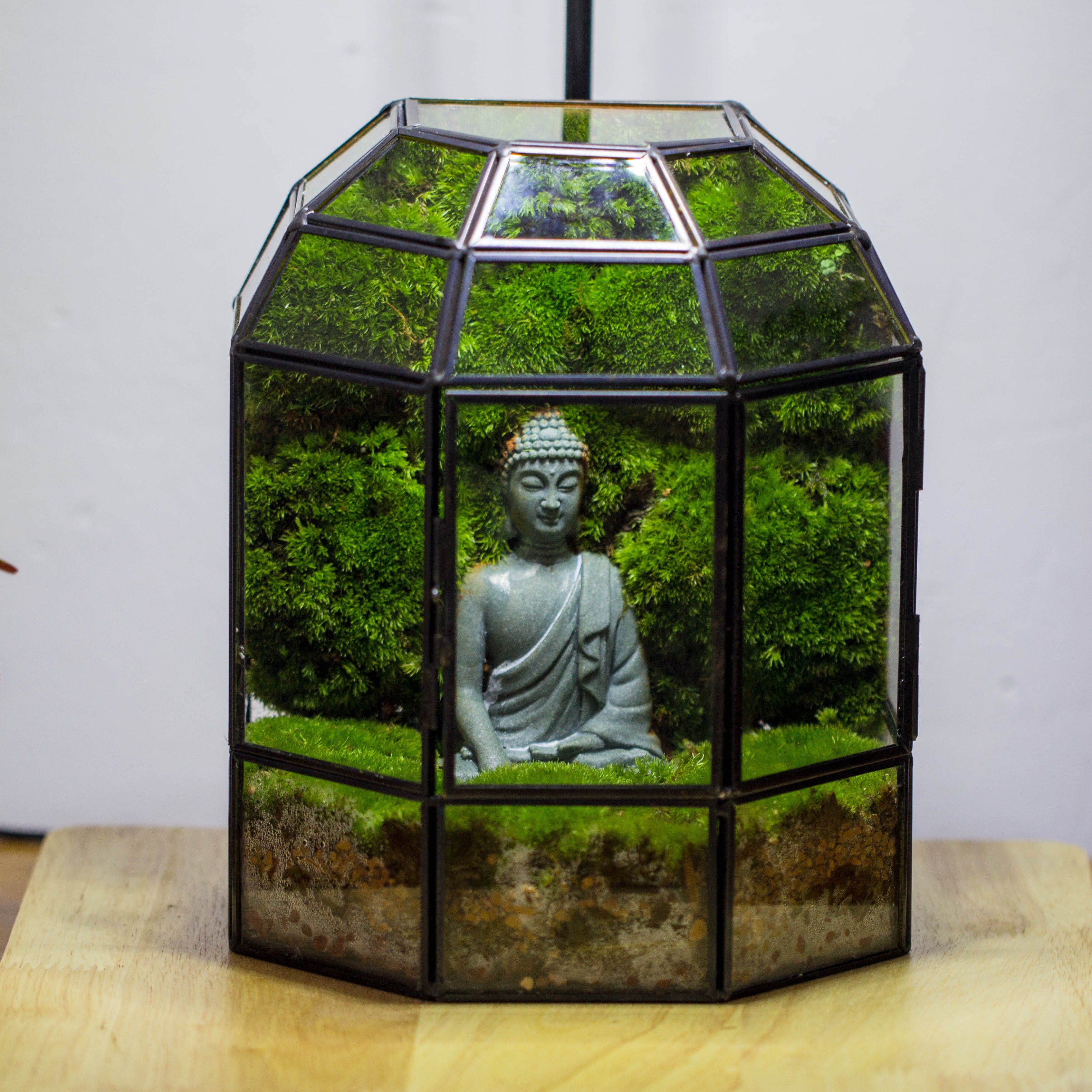 NCYP Half Dome Geometric Glass Terrarium Round, Closed Succulents Planter Pot Miniature Landscape Bonsai Container - NCYPgarden