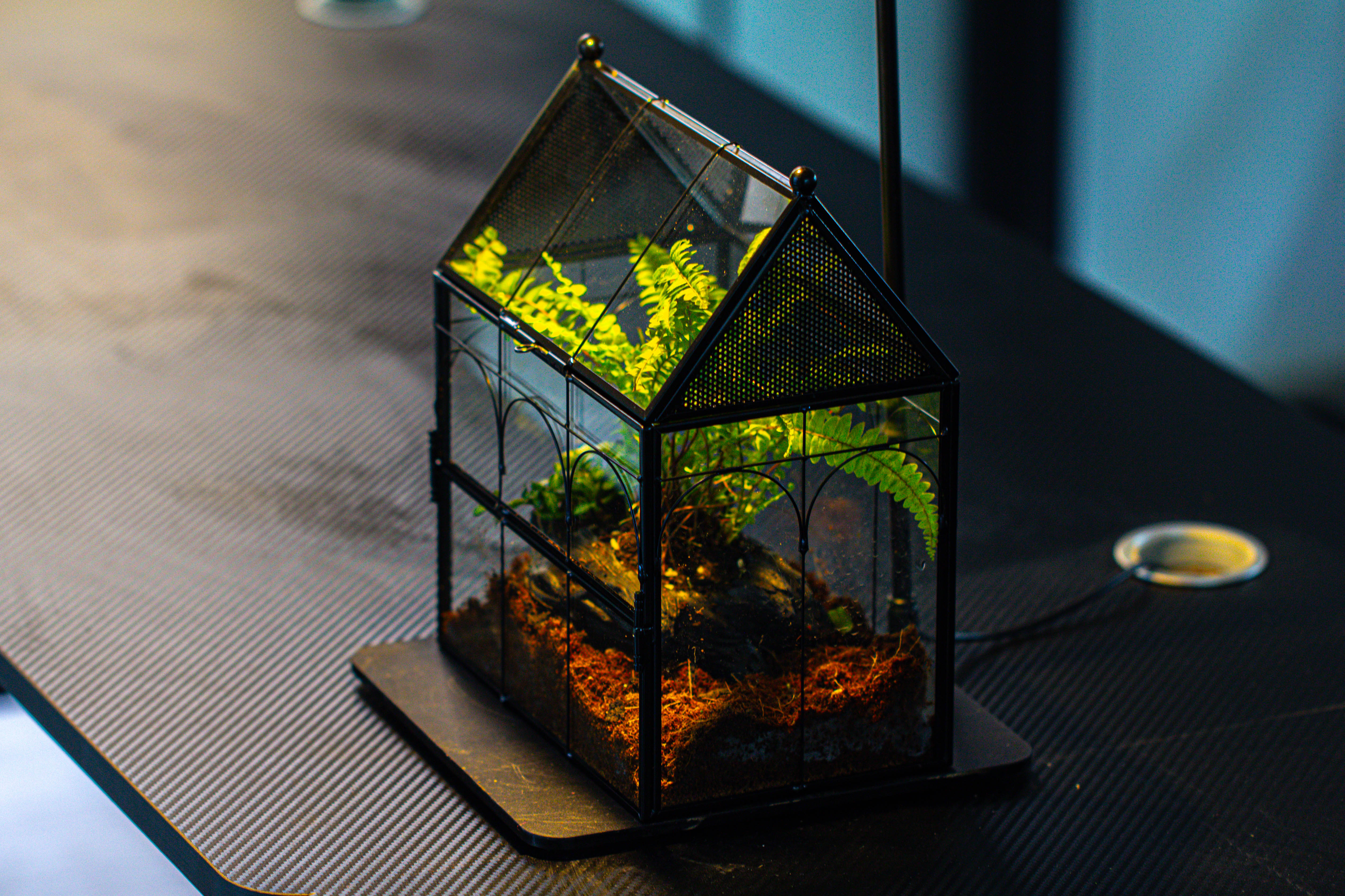 Handmade Terrarium with Light, House Shape Glass Geometric Terrarium with LED Light Set - NCYPgarden